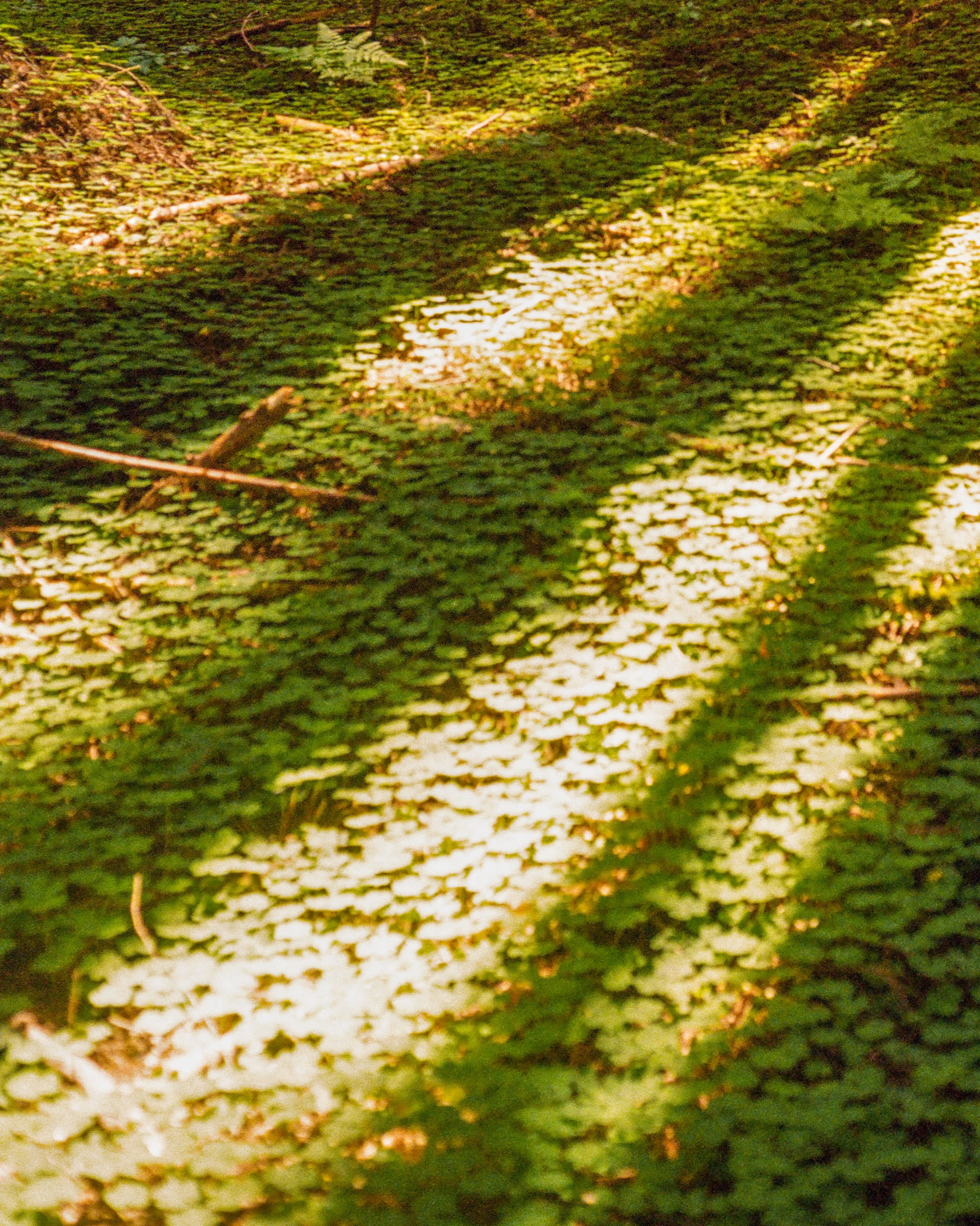 ben matuszak-468.jpg