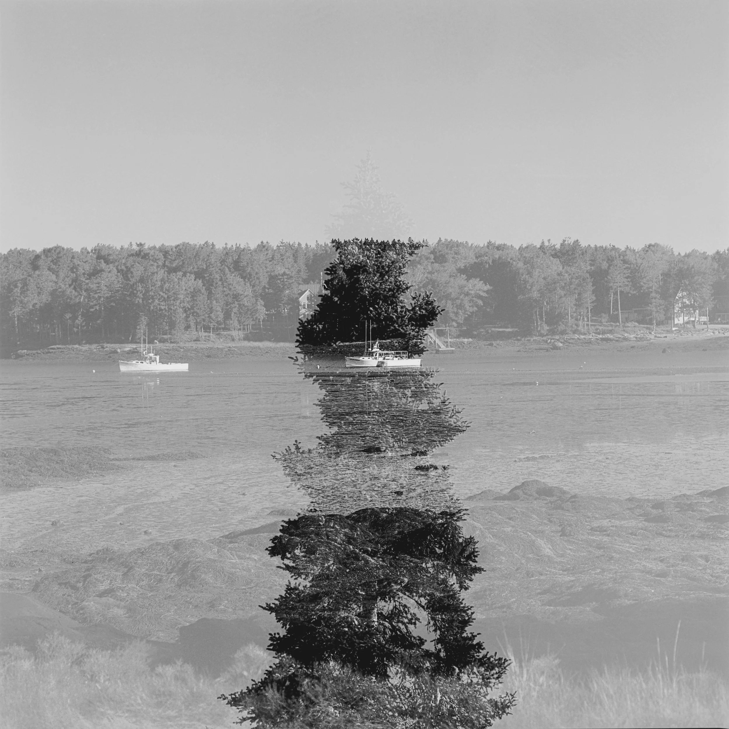 Portra 160 ~ 44.00421° N, 69.13766° W