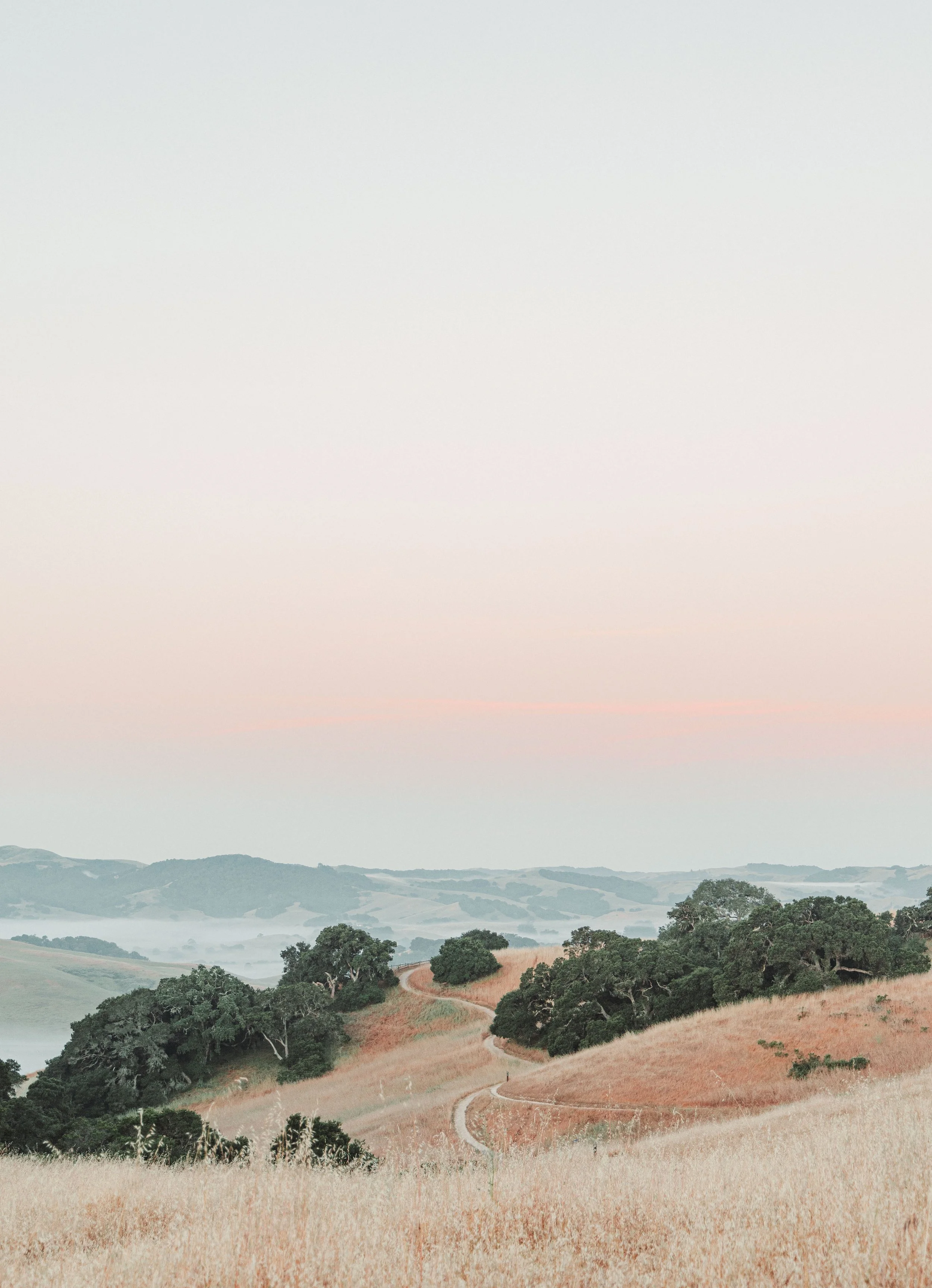 ben matuszak-458.jpg