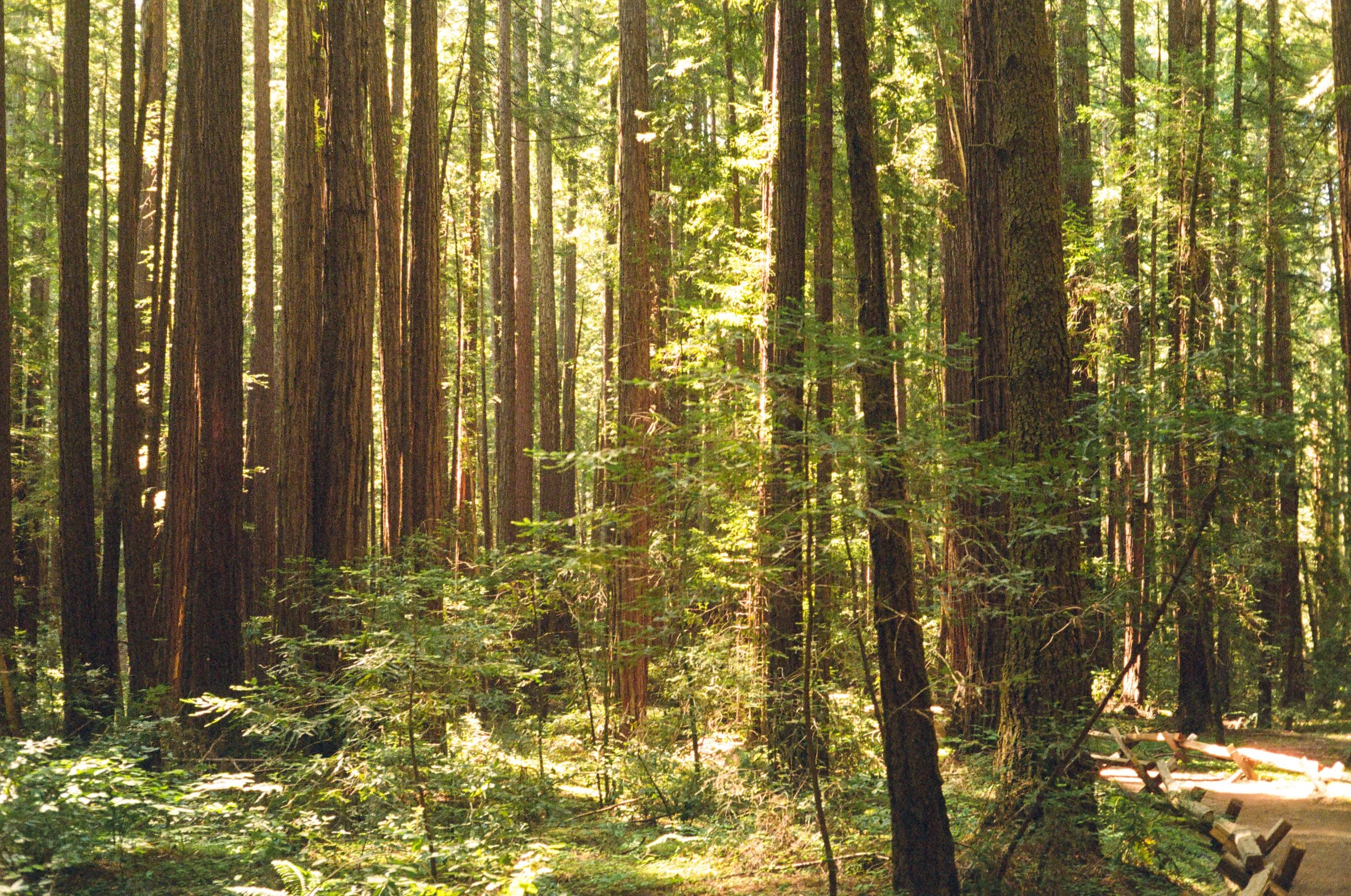 ben matuszak-471.jpg