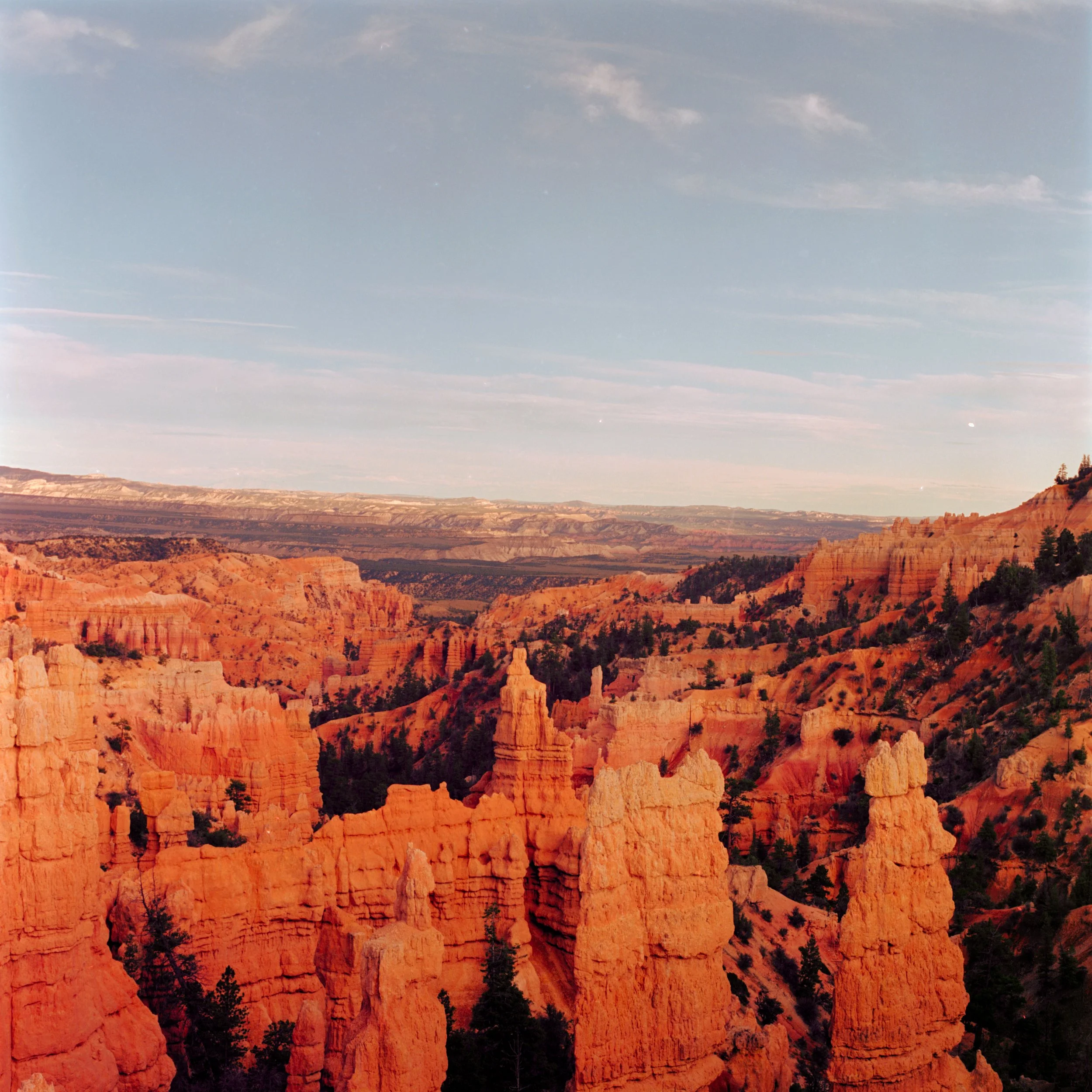 Cinestill 400D
