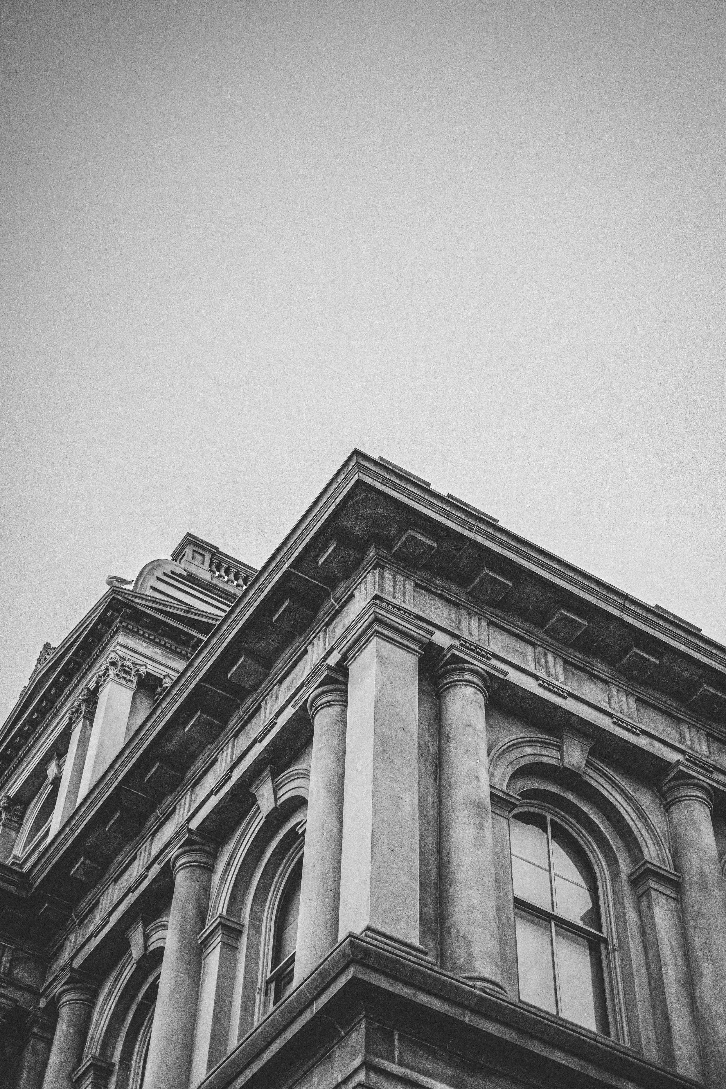 ben matuszak-550.jpg