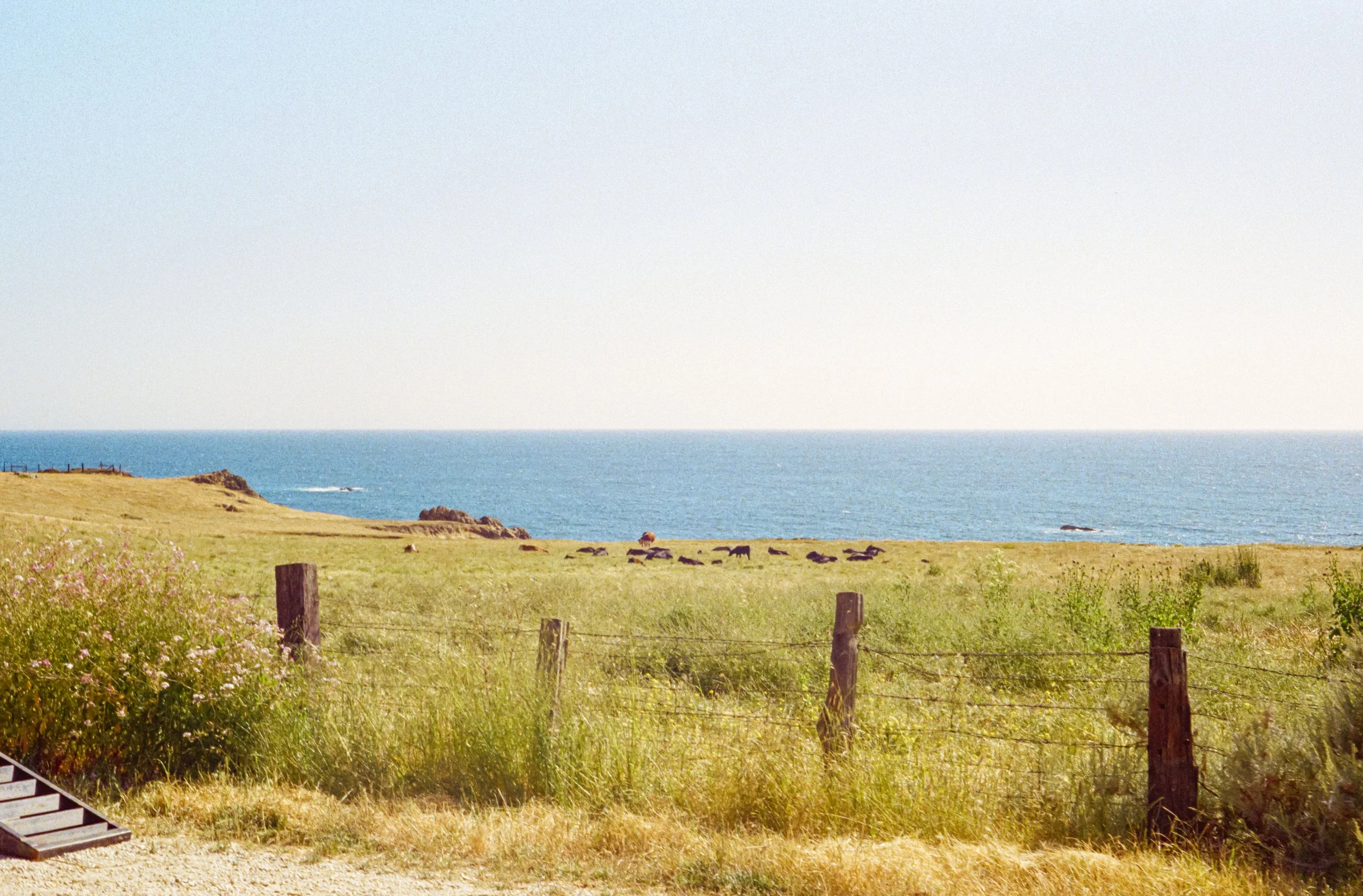 ben matuszak-463.jpg