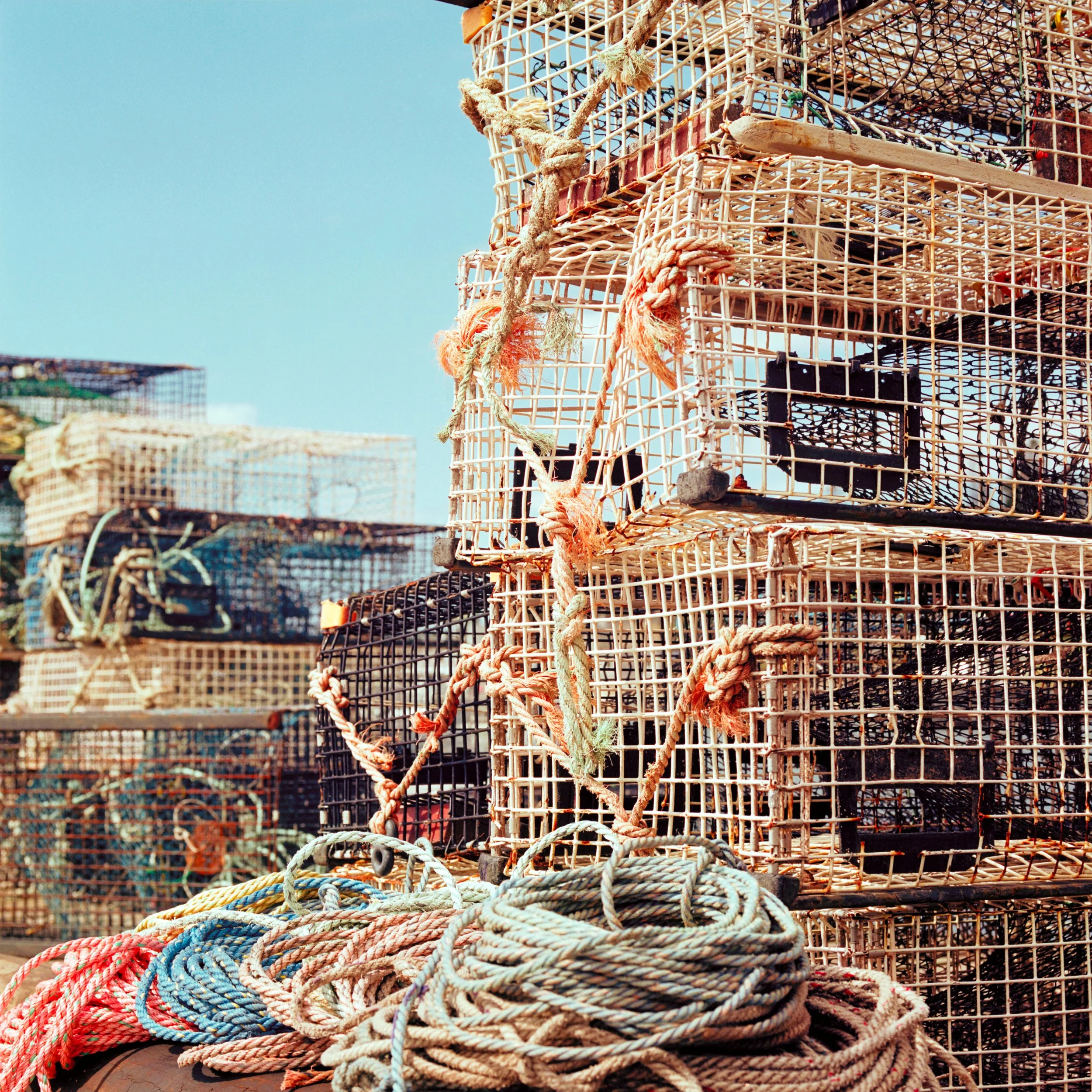 Portra 160 ~ 44.40027° N, 67.97203° W