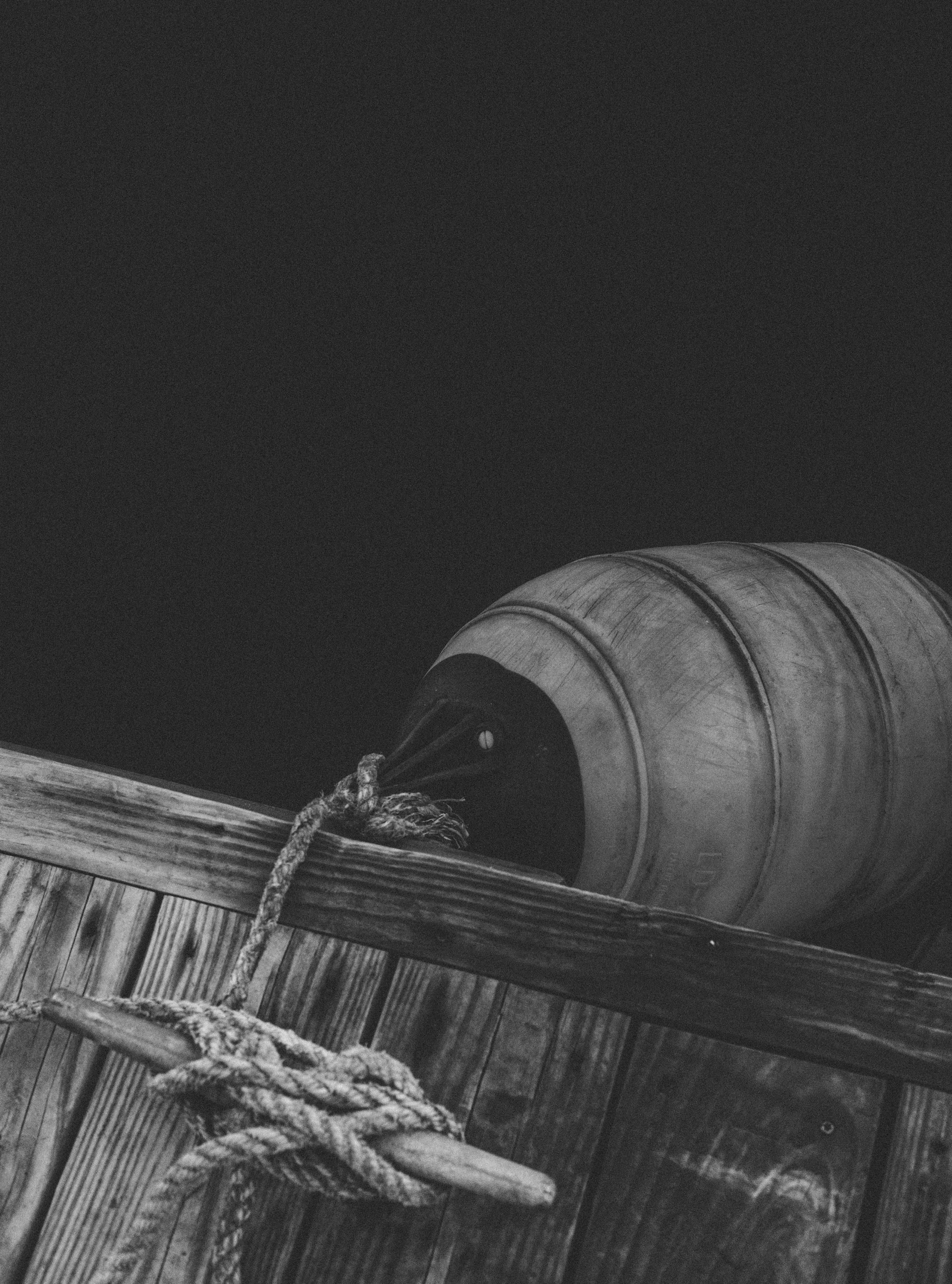 ben matuszak-549.jpg