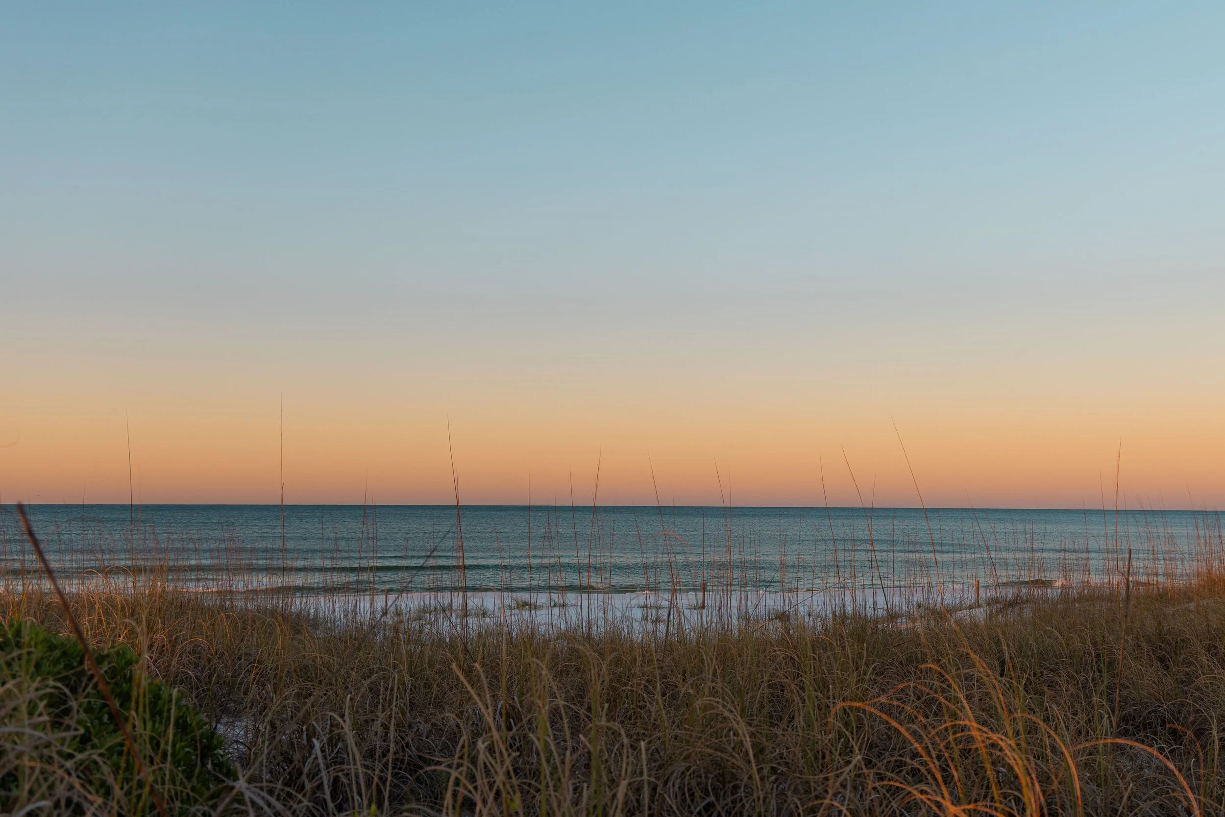 ben matuszak-528.jpg