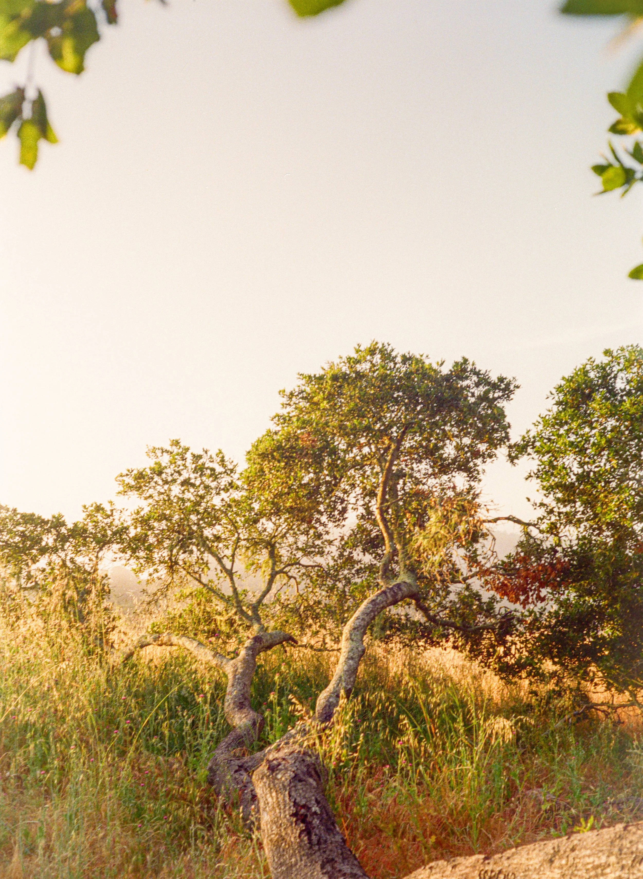 ben matuszak-472.jpg