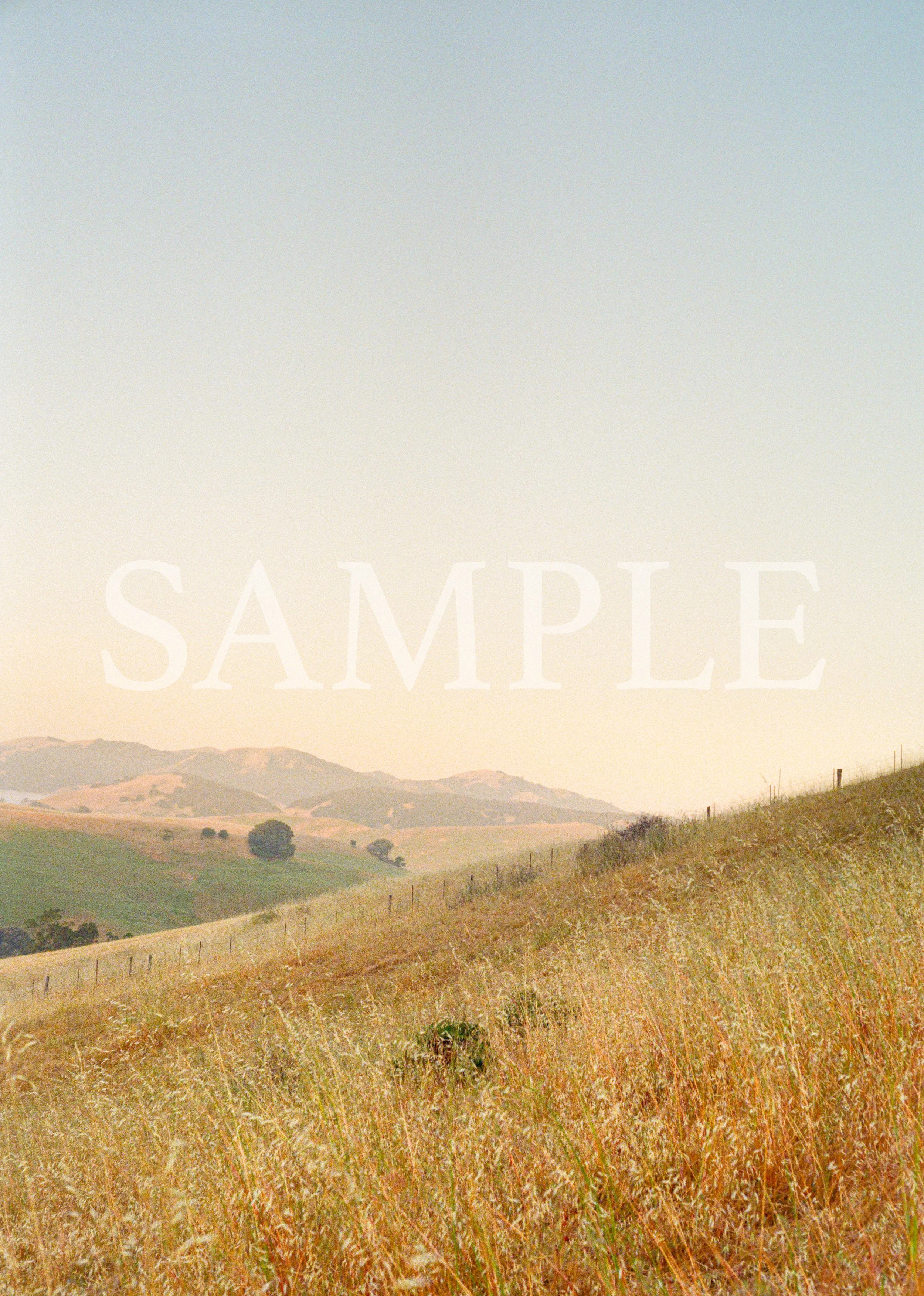 ben matuszak-240 copy.jpg