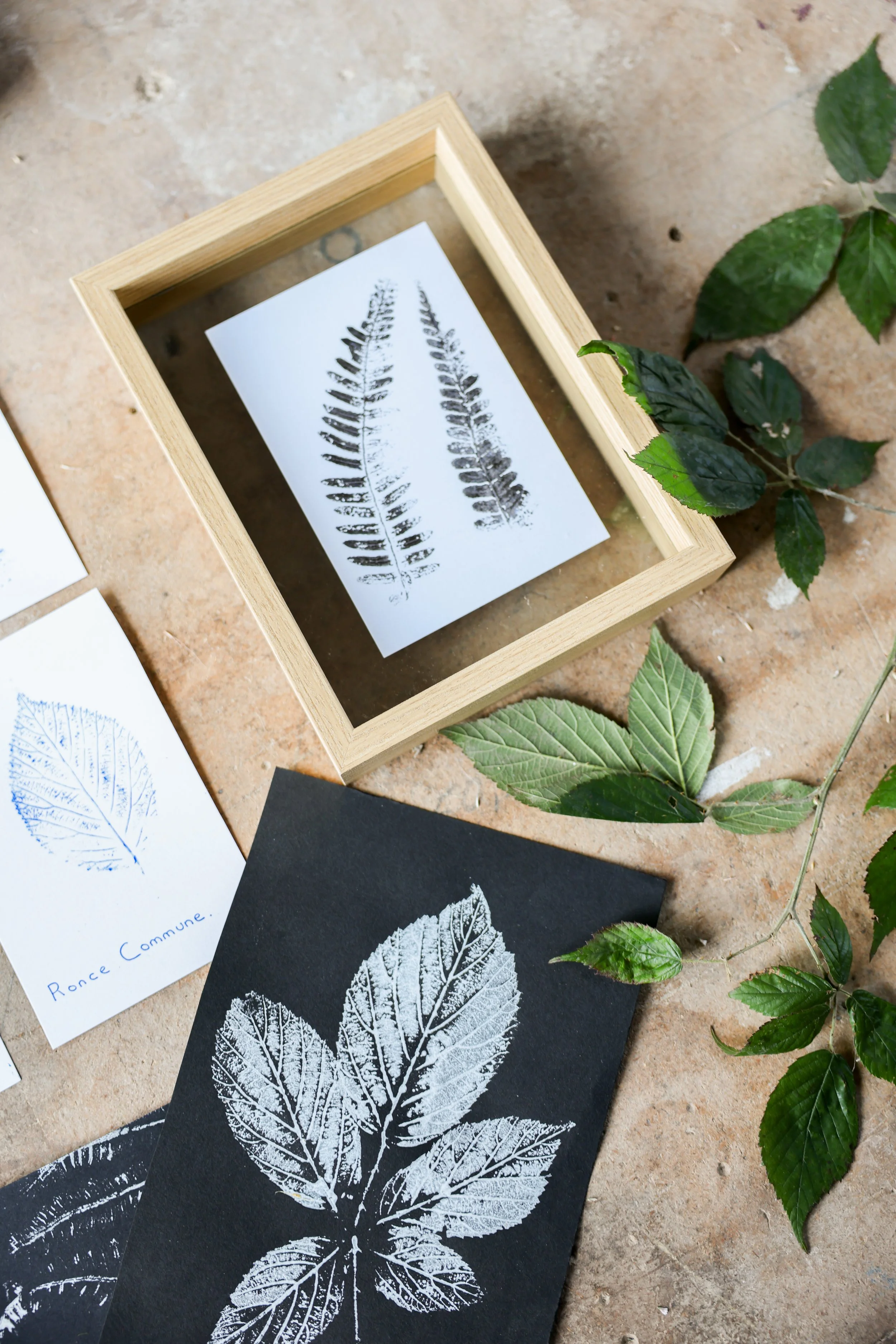 Impression végétale