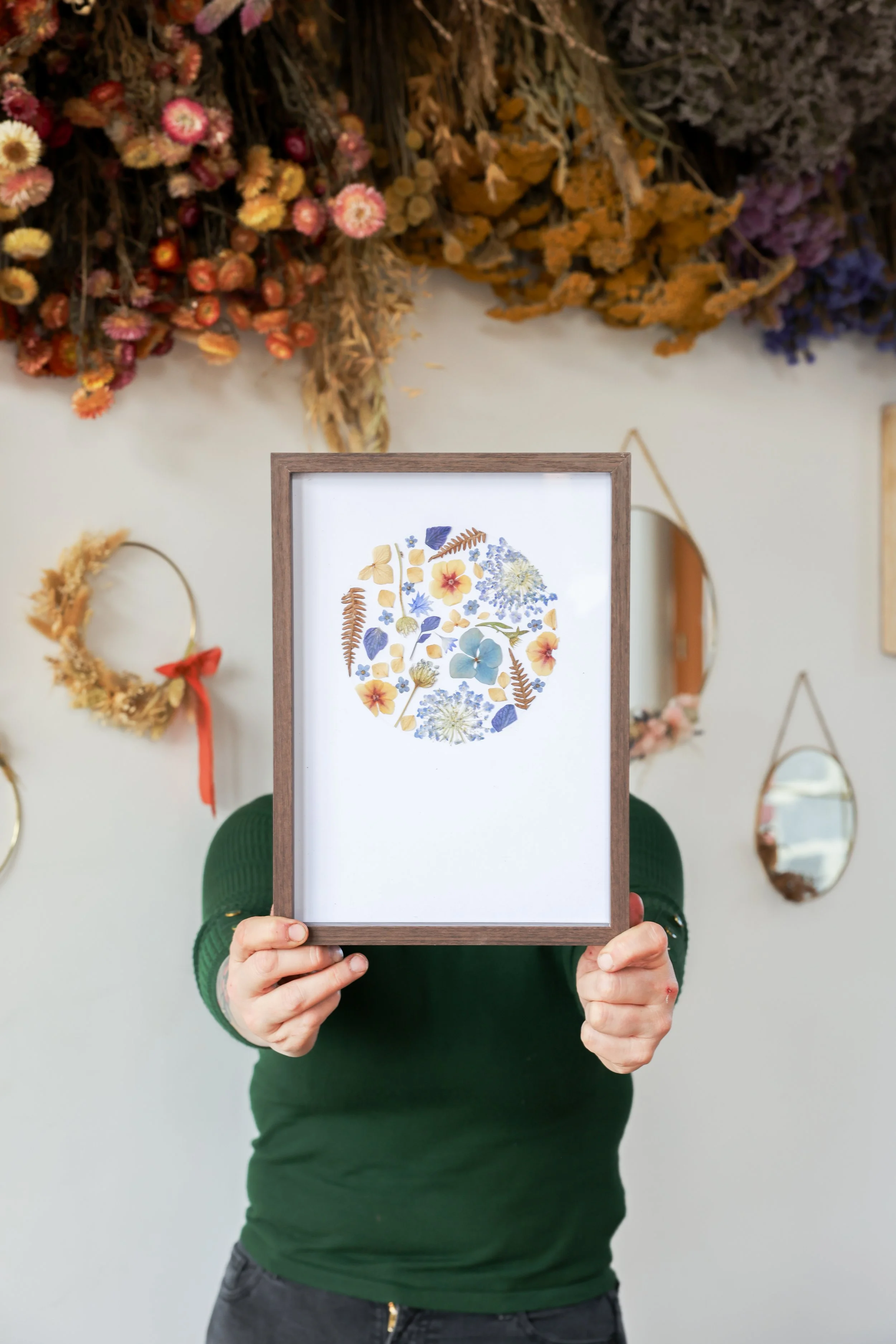 Herbier en fleurs pressées