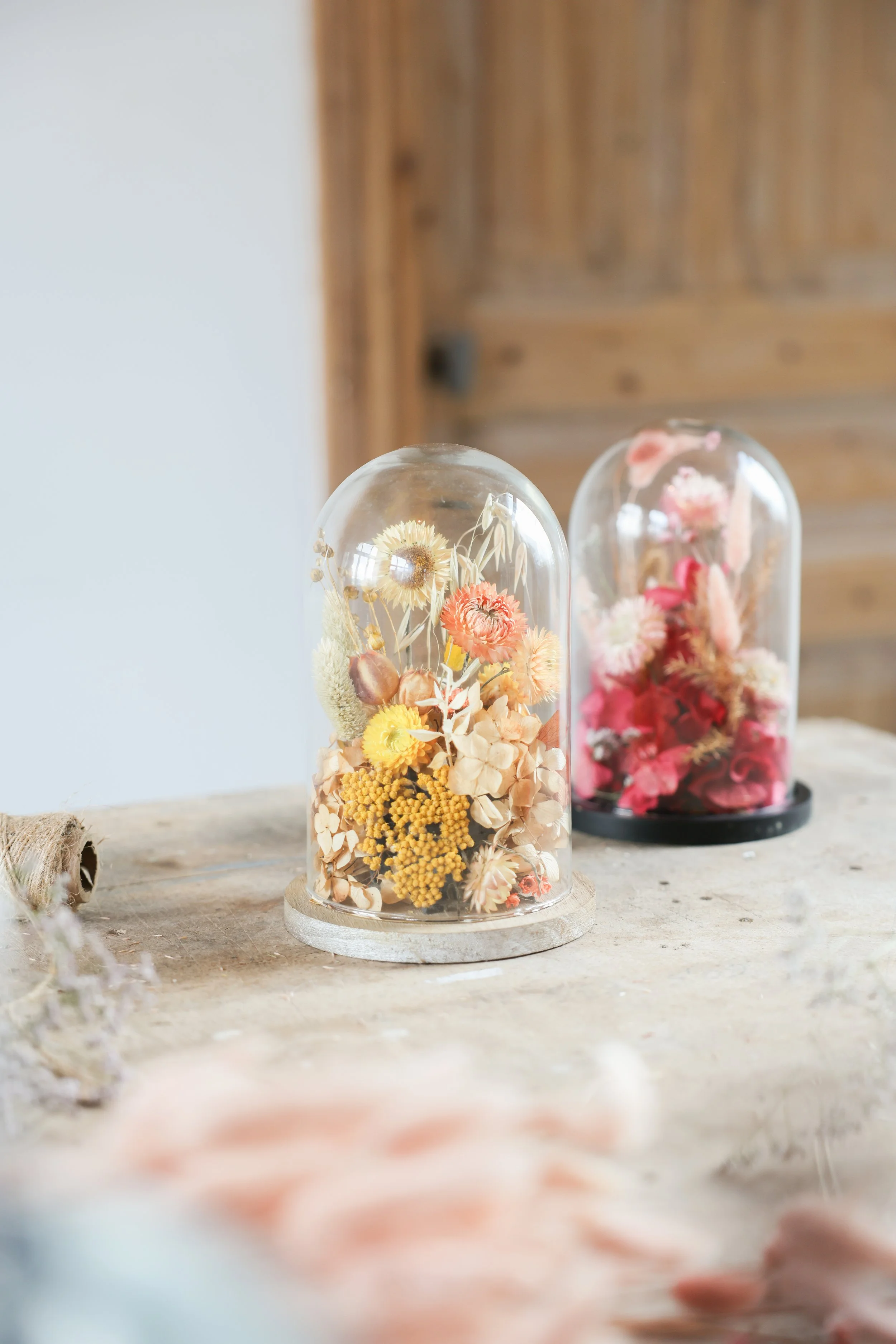 Cloche végétale fleurs séchées