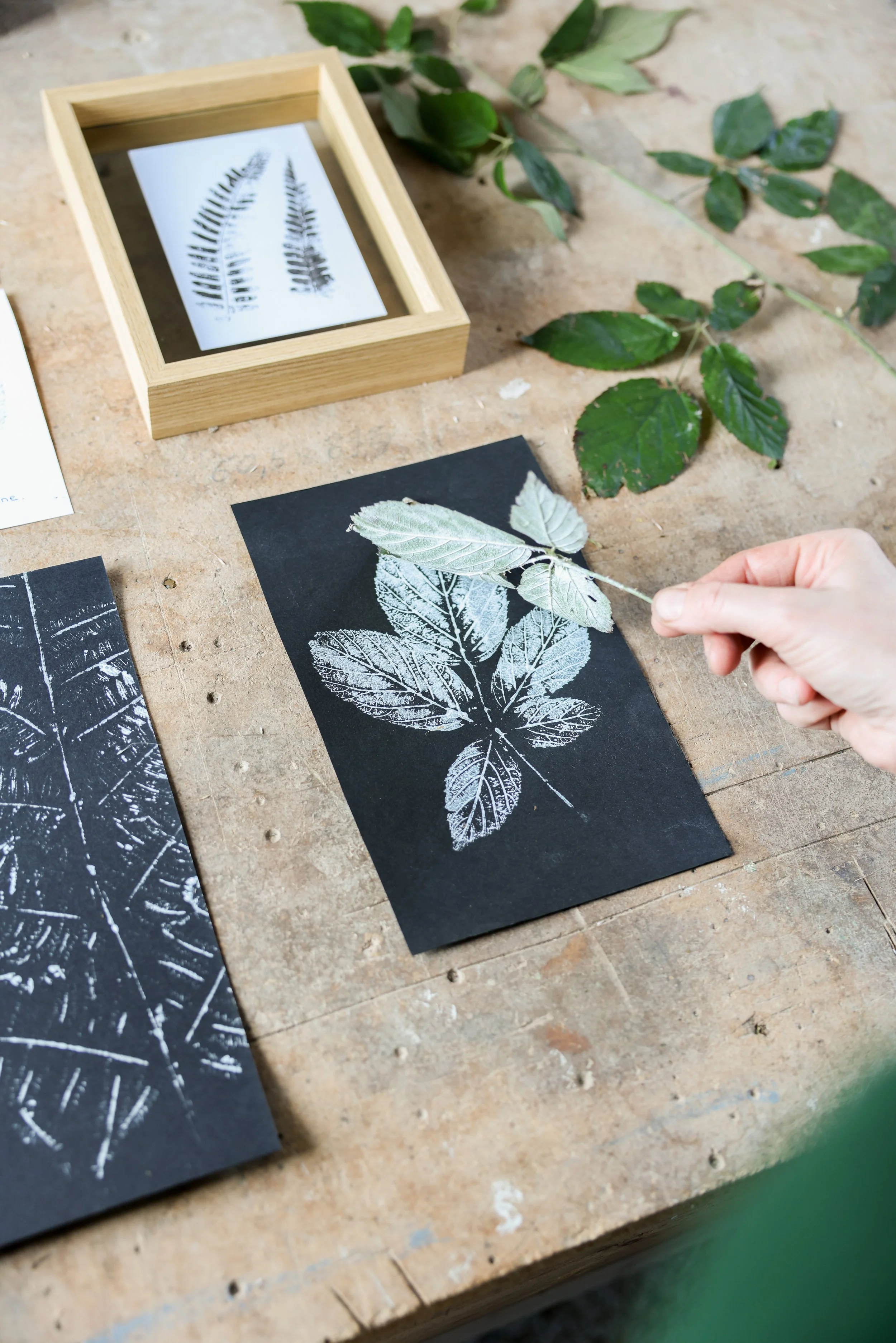 7K0A9090.jpg (copie)