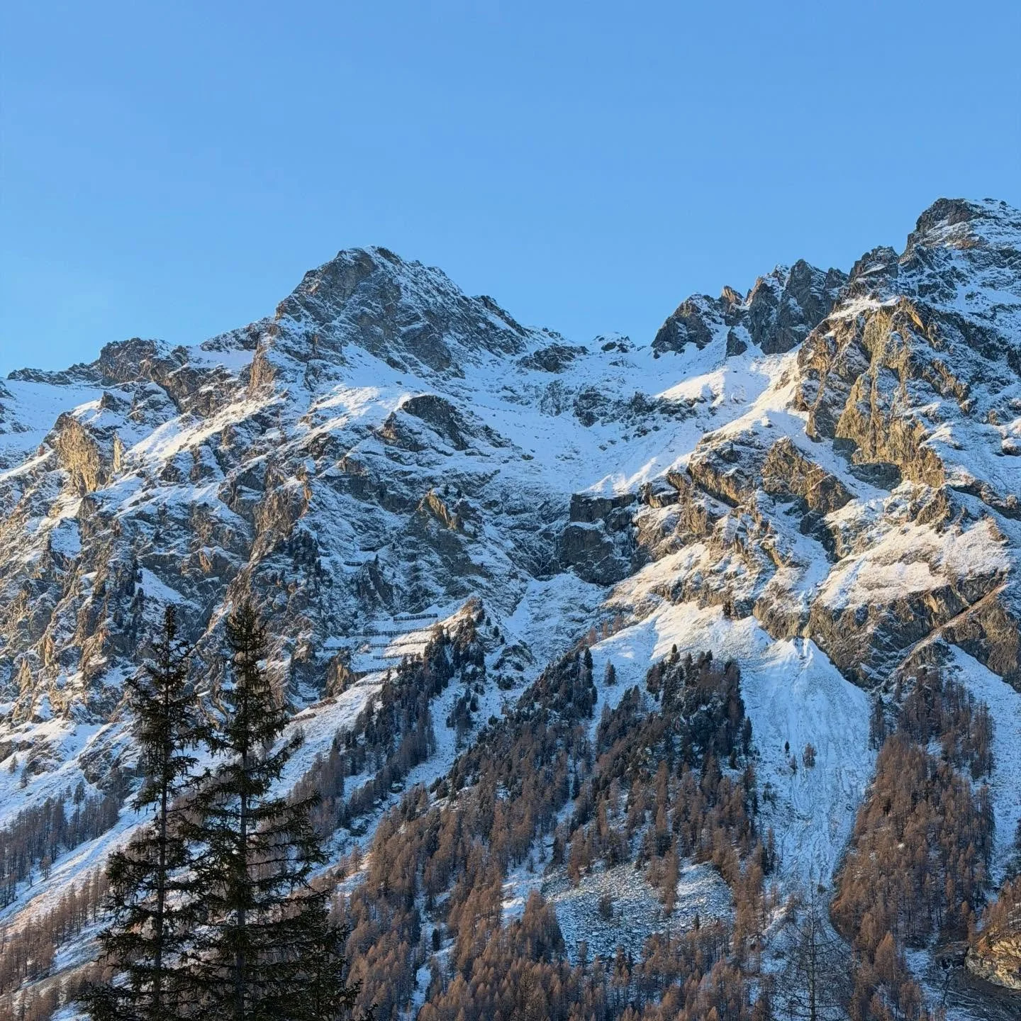&ldquo;Komme rein, wir r&uuml;cken zusammen&rdquo; ~ the pastor at a Christmas service in a chapel from the 1400s in a small car-less valley in Switzerland 

Although I&rsquo;m not religious, what a lovely, true, and universal message to us all. Take