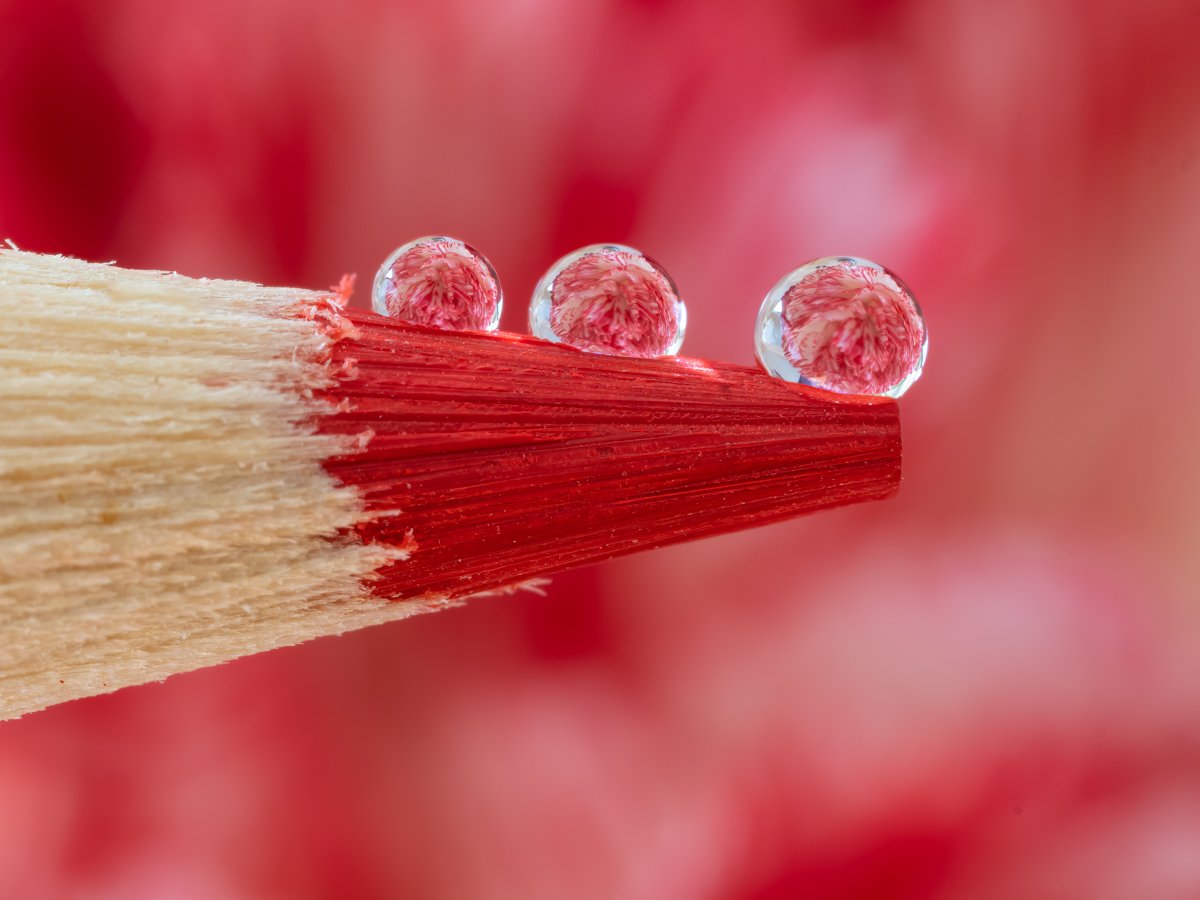 tip of pencil and drops.jpg