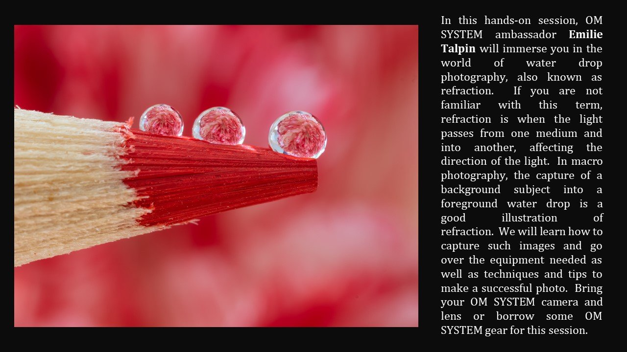 Slide19.JPG