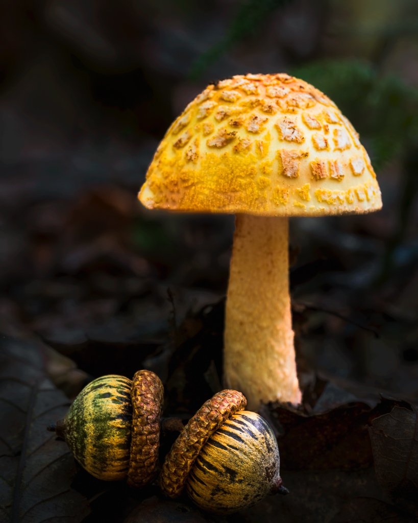 20240817-_8172112-Edit.jpg