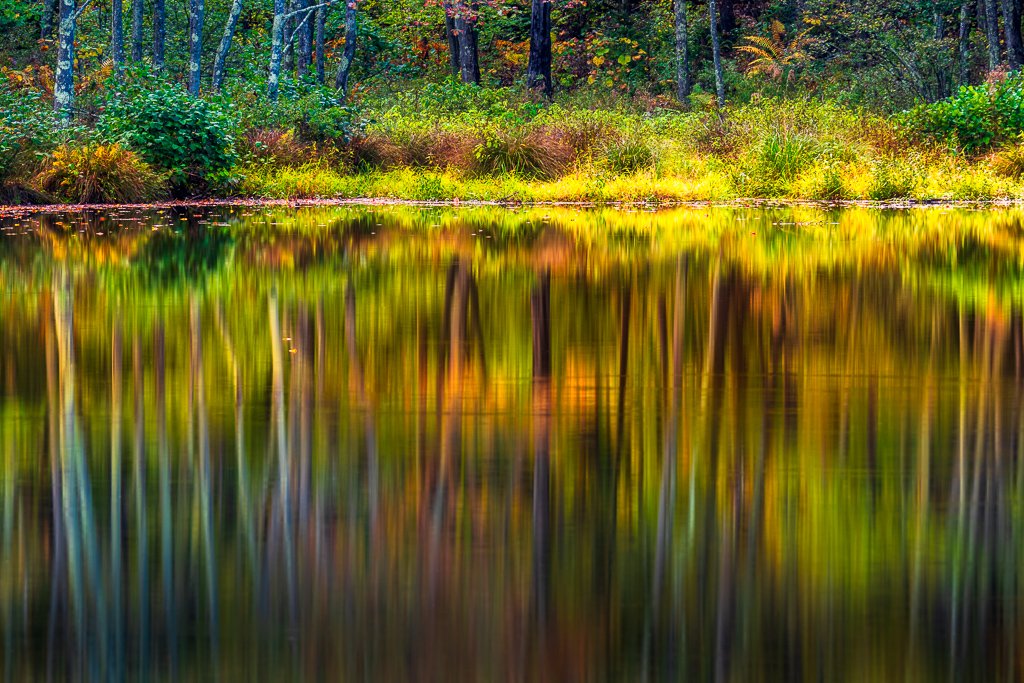20241003-_A033341-Edit.jpg