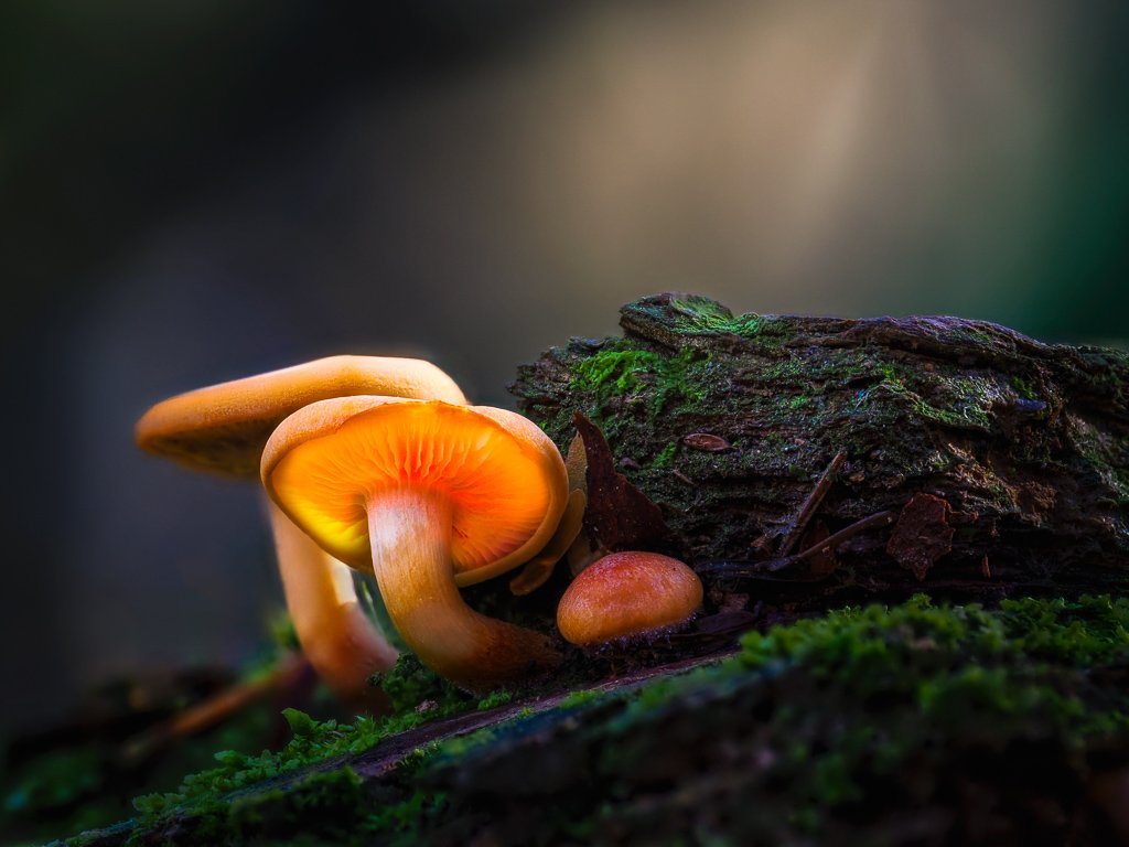 20231103-PB030189-Edit.jpg