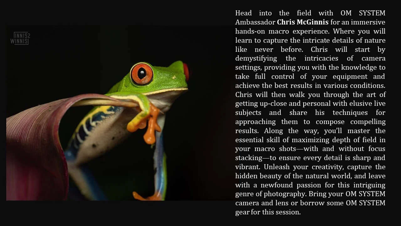 Slide20.JPG