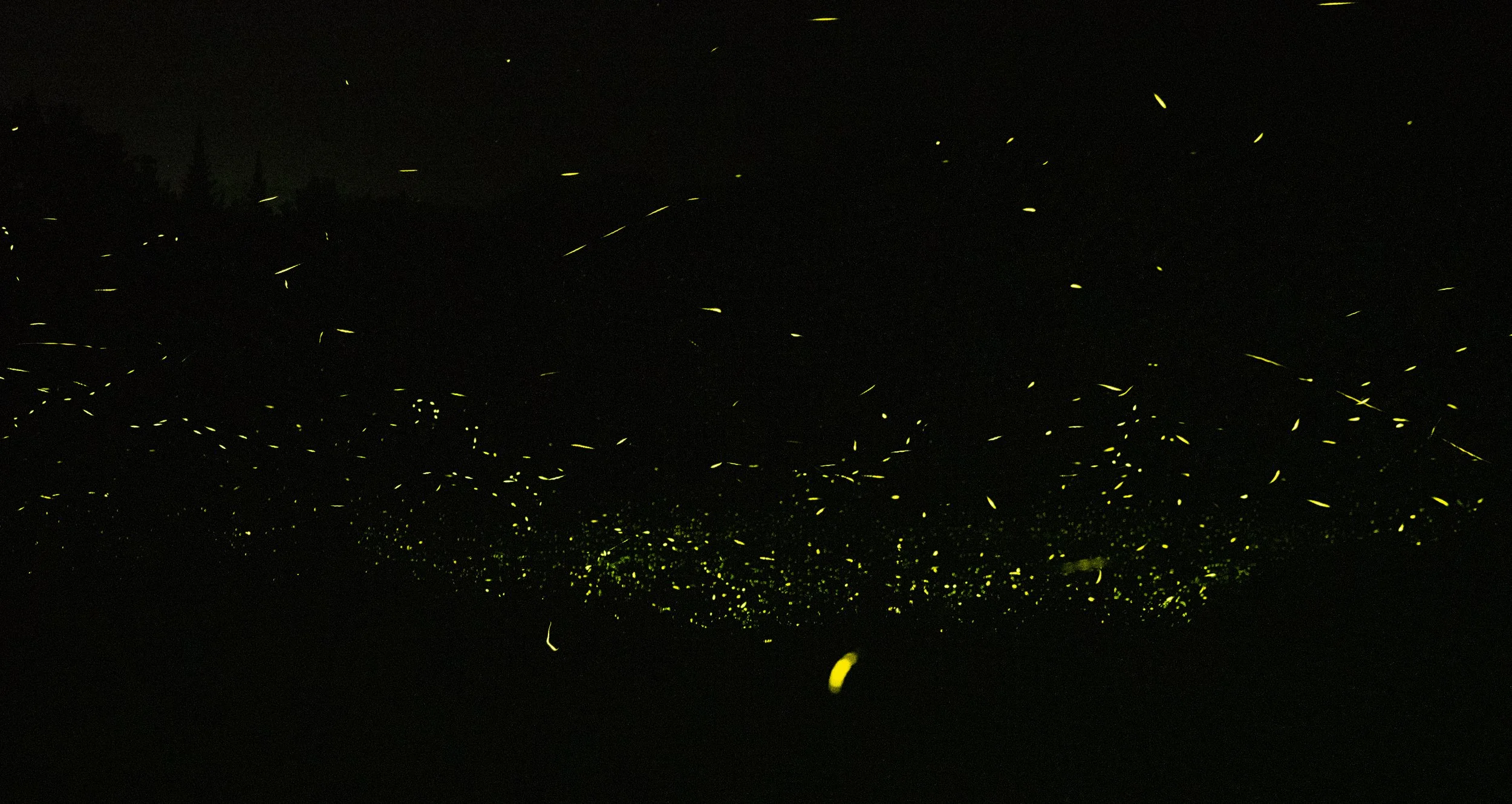 L8804628.jpg