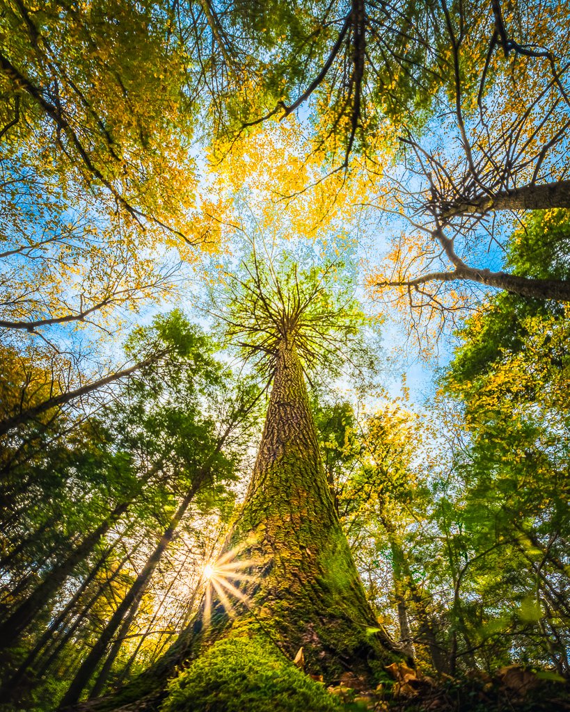 20241012-_A121204-HDR-Edit.jpg