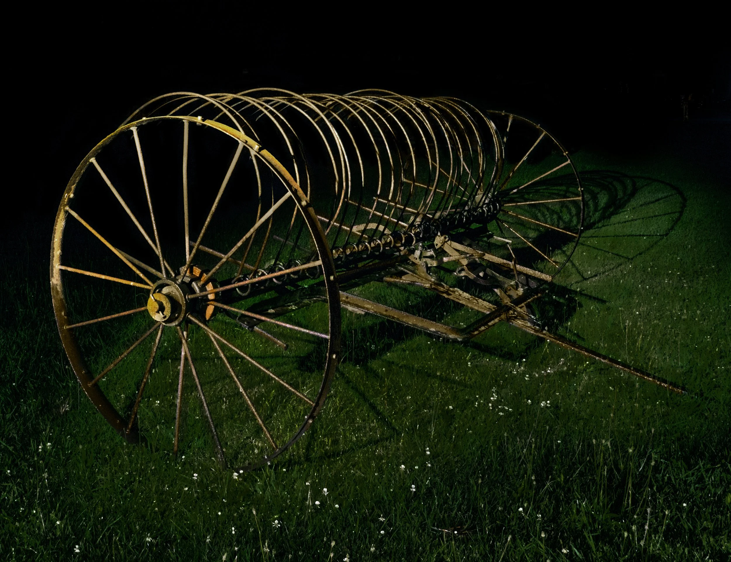 L9542616-Edit a.jpg