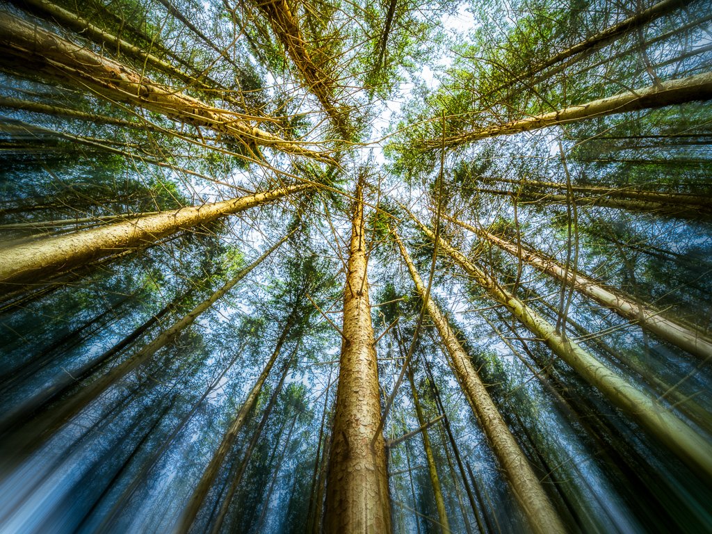 20240124-_1242006-HDR-Edit.jpg