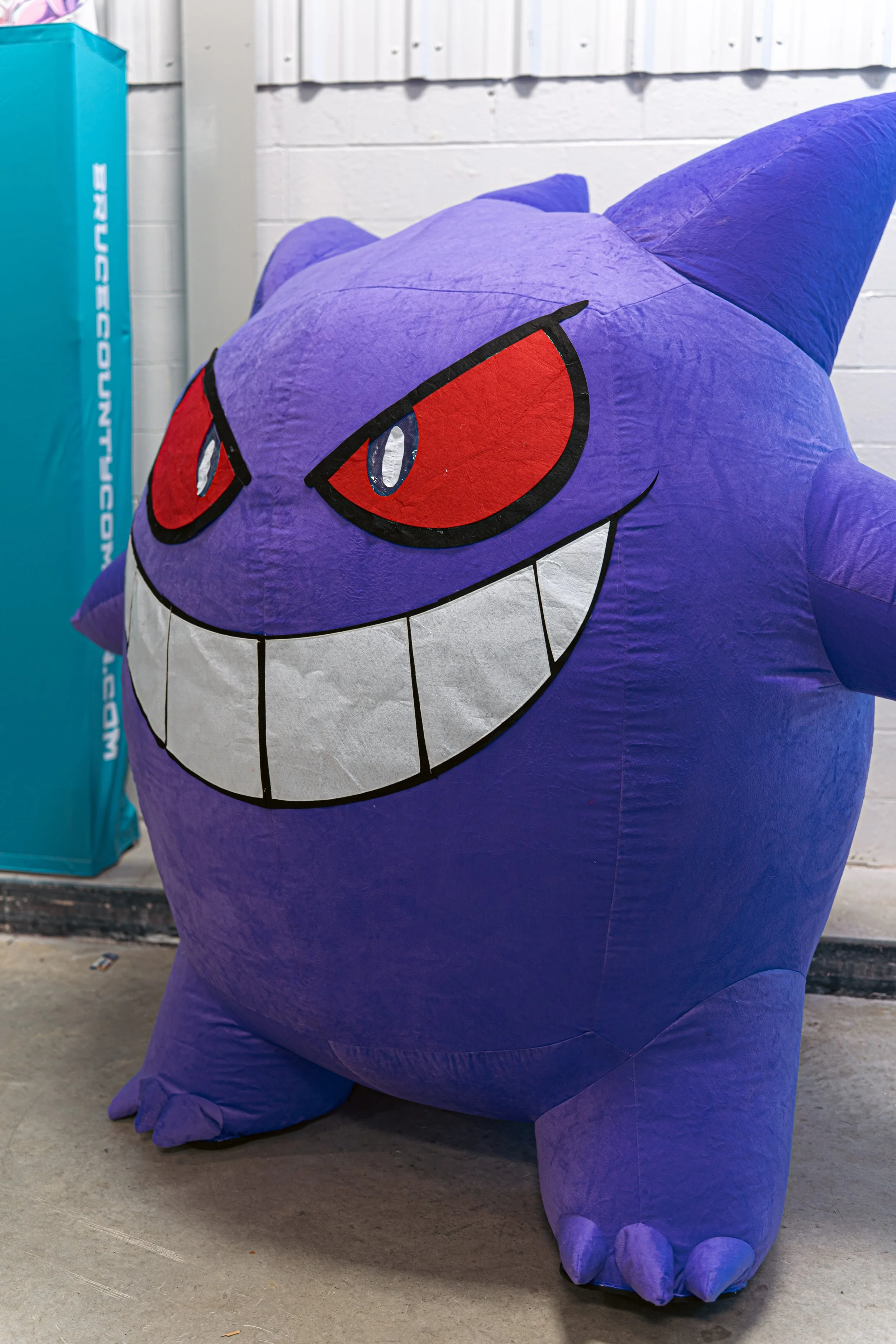 Video games at Bruce County Comicon