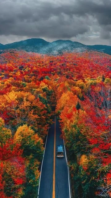 Kiel James Patrick on Instagram_ %22Stowe is a leaf….jpg