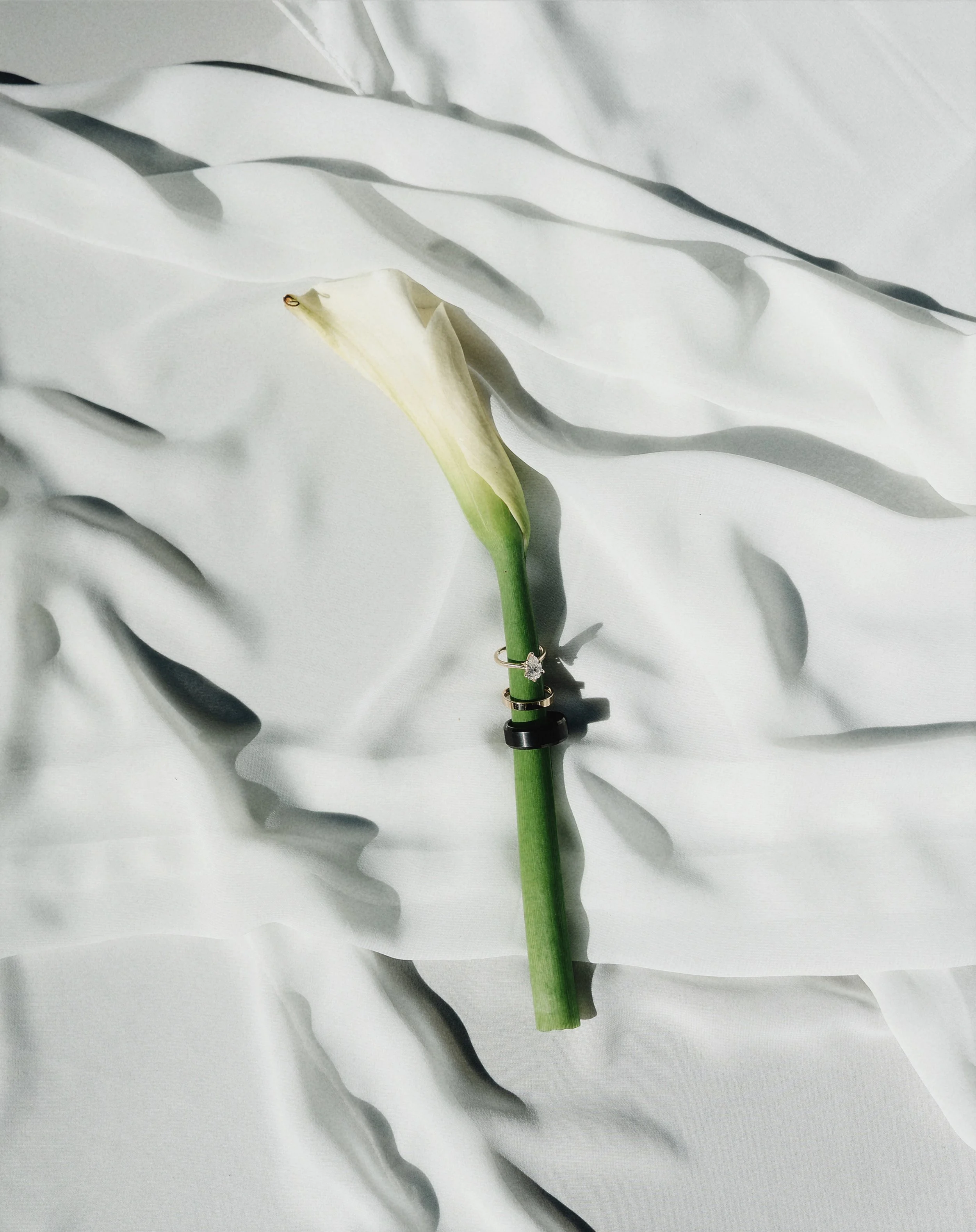 A white calla lily flower with a green stem and a small jewelry ring at the bottom, resting on white fabric with cut-out leaves.