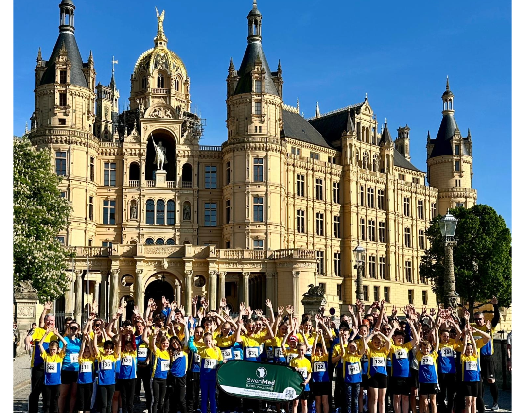 Schweriner Nachtlauf.png