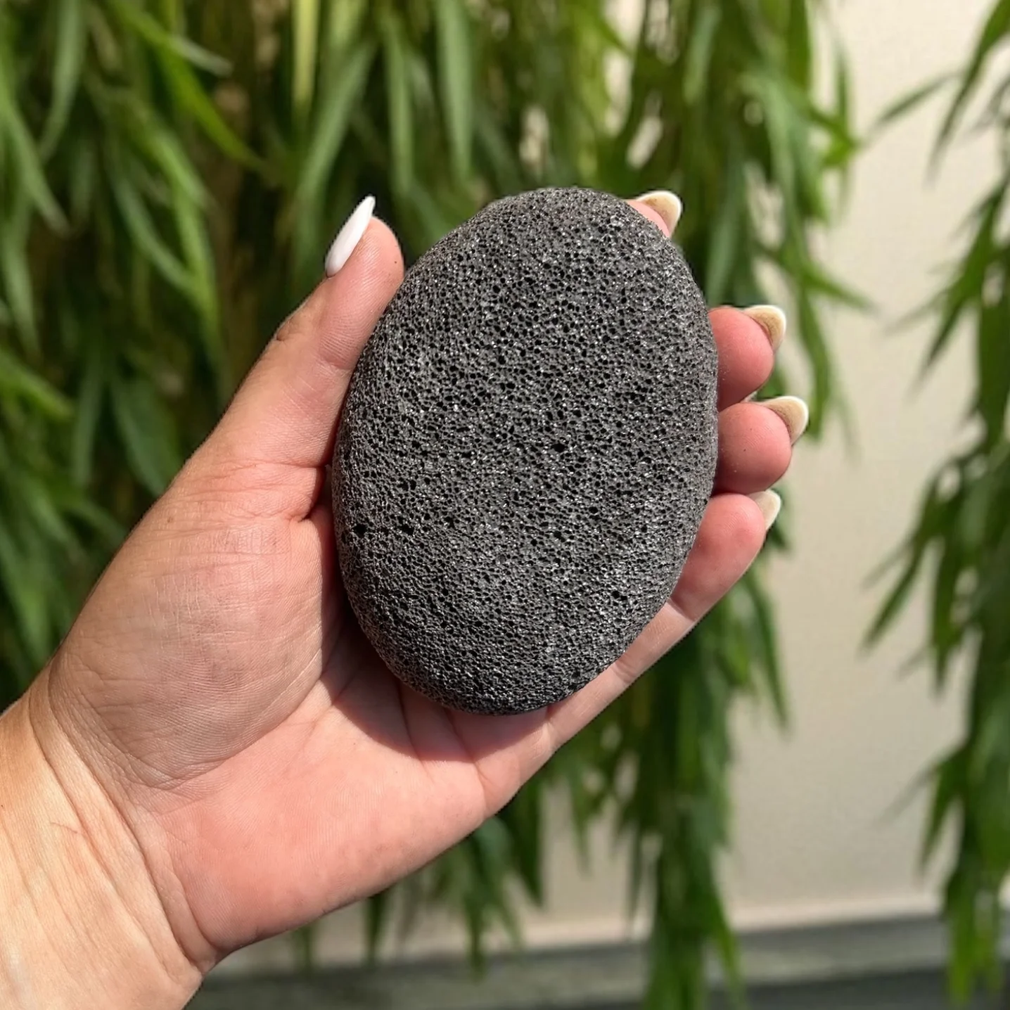 pumice stone bamboo switch 1 .webp