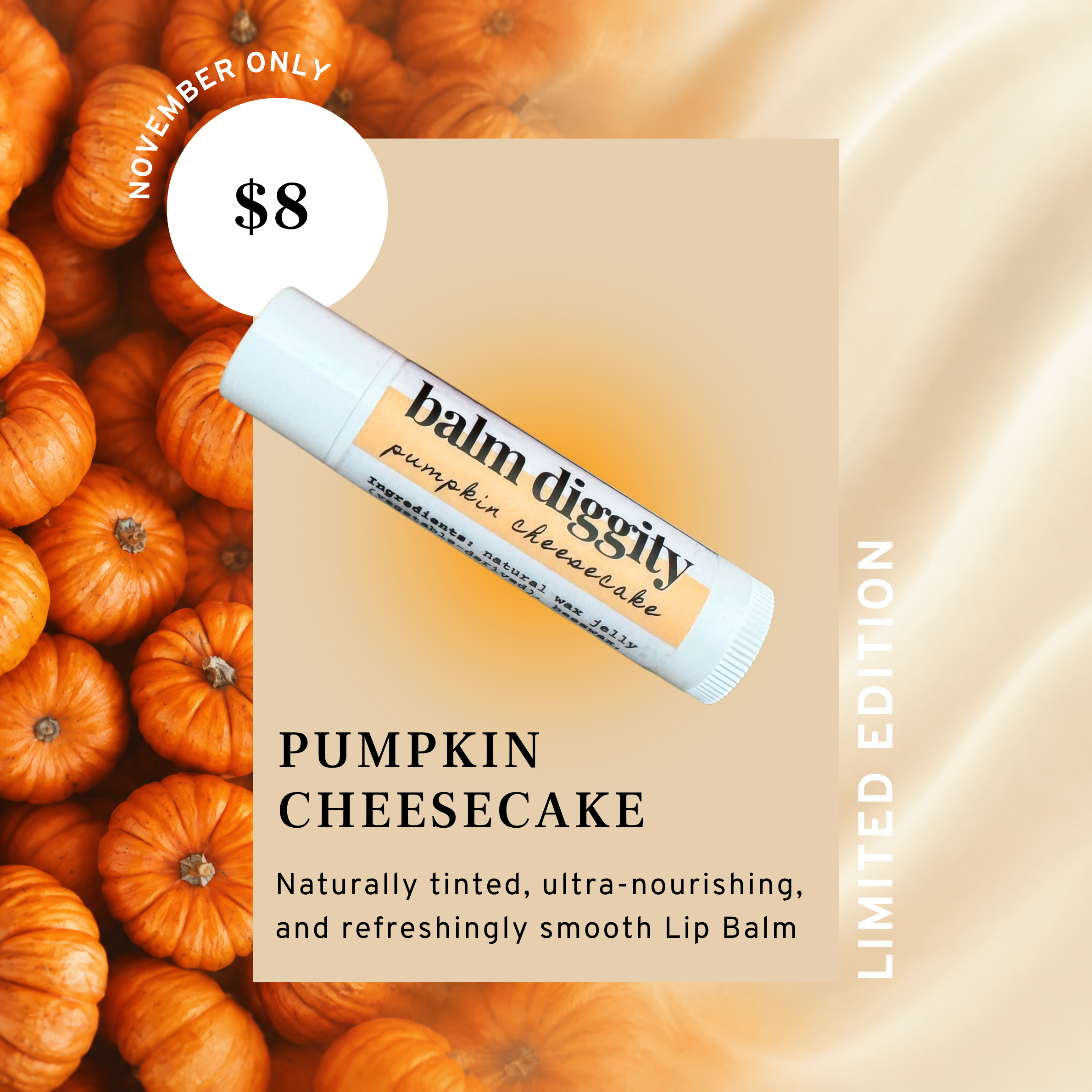 Pumpkin Cheesecake Naturally Tinted Lip Balm - Balm Diggity
