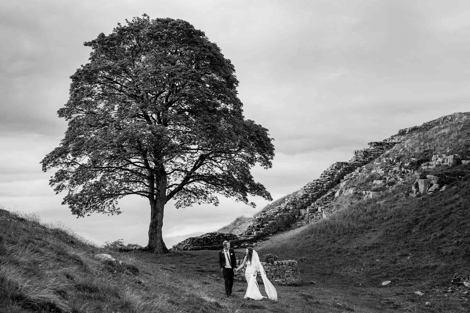Sycamore Gap - Hadrian's Wall Wedding Photography