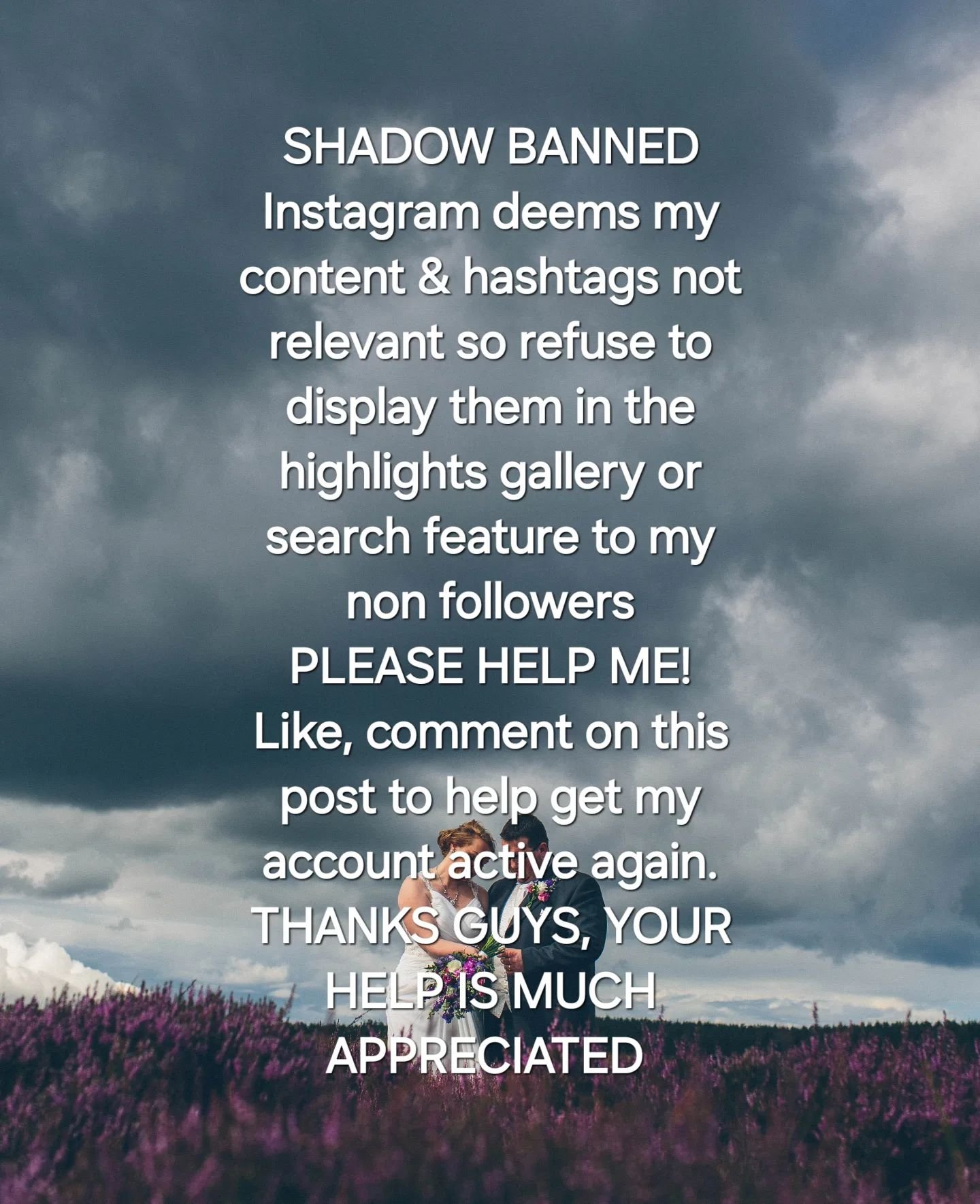 🙏 GUYS STOP SCROLLING I NEED YOUR HELP!

😑 Instagram has somehow Shadow Banned my account.

🙄 This means they actively hide my hashtags which are all relevant and DO NOT infringe on  any of Instagram policies or guidelines.

😢 So, the only people