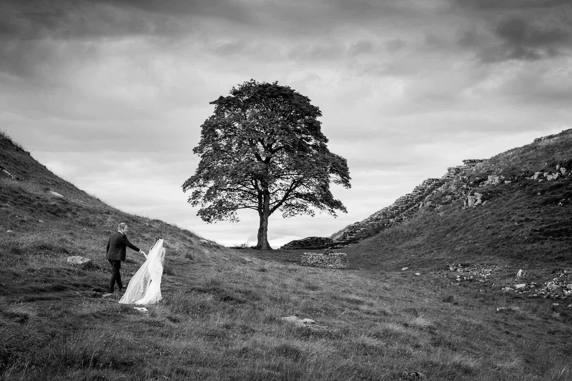 Hadrians Wall Wedding Photography - Sycamore Gap