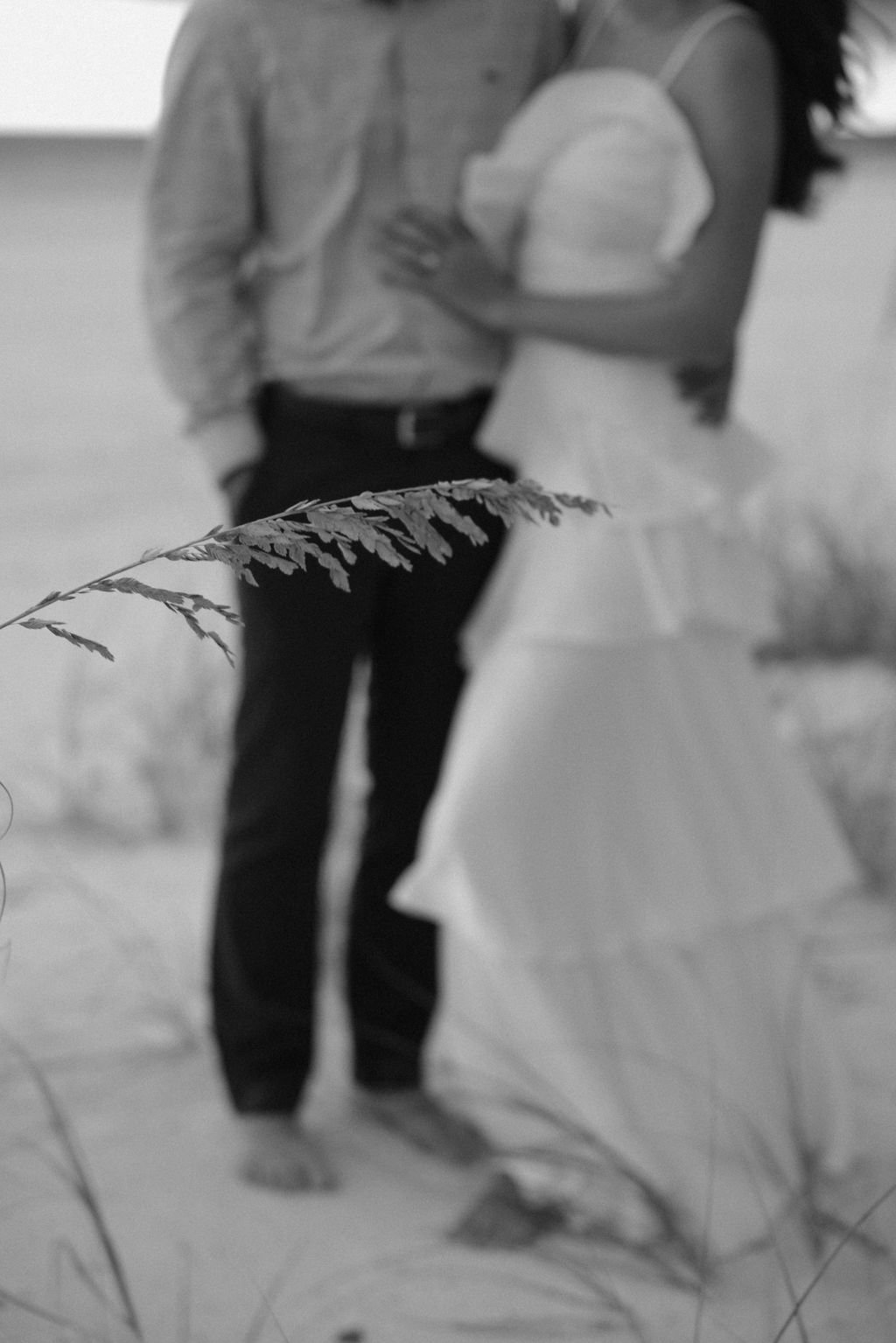 DN5A7972.jpg