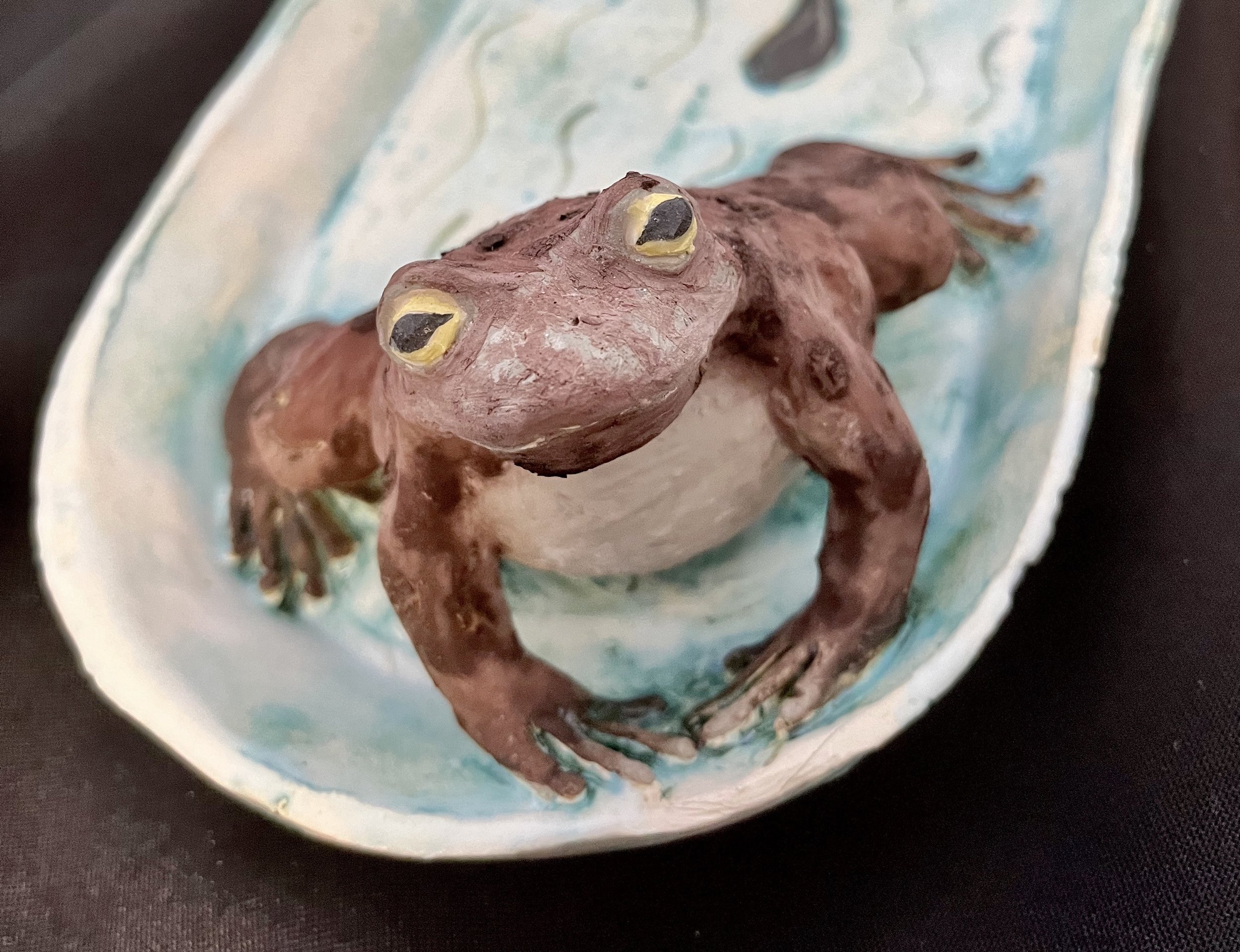 home page Toad.jpeg
