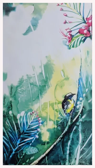watercolour | 1988 veranda series | bananaquit