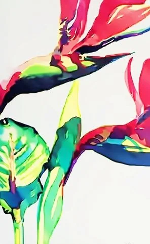 water colour | paradise