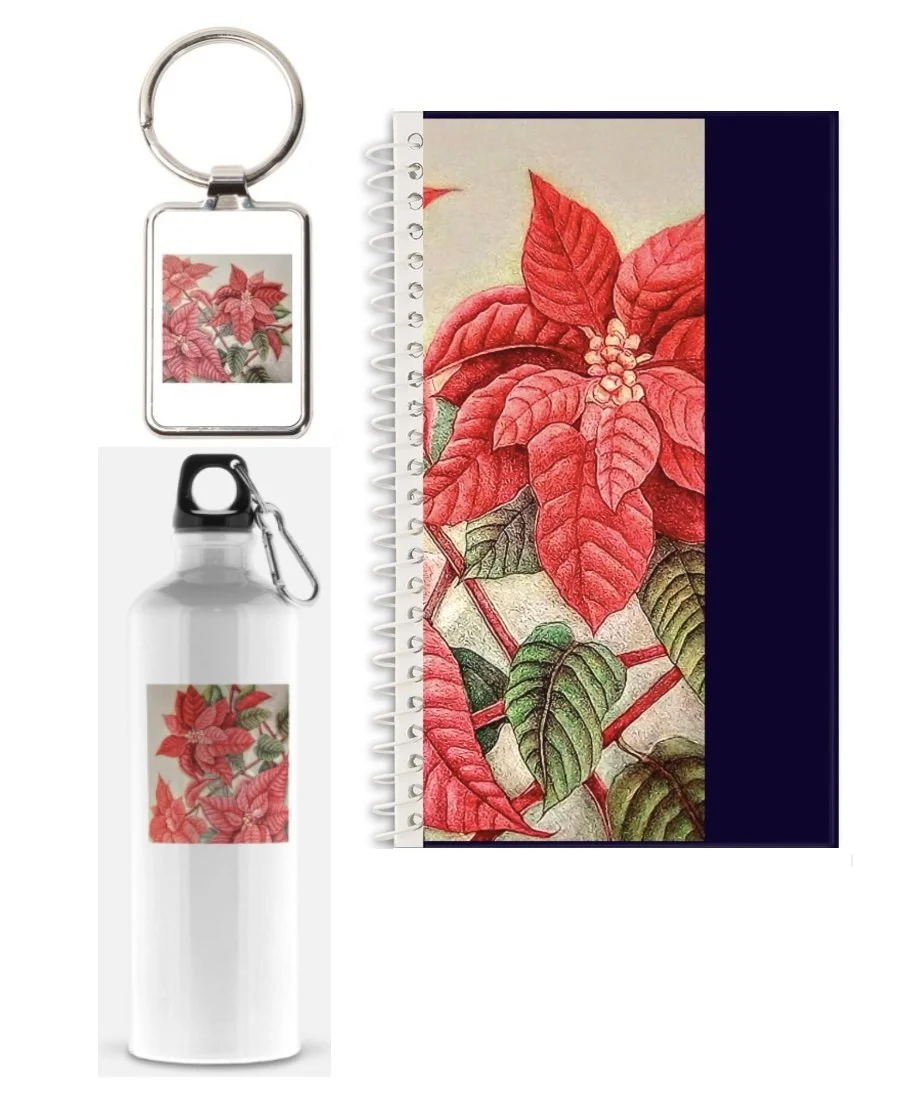0000-B-POINSETTIA VARIOUS - Copy.jpg