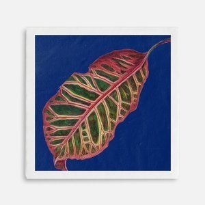croton+in+BLUE+vase.jpg
