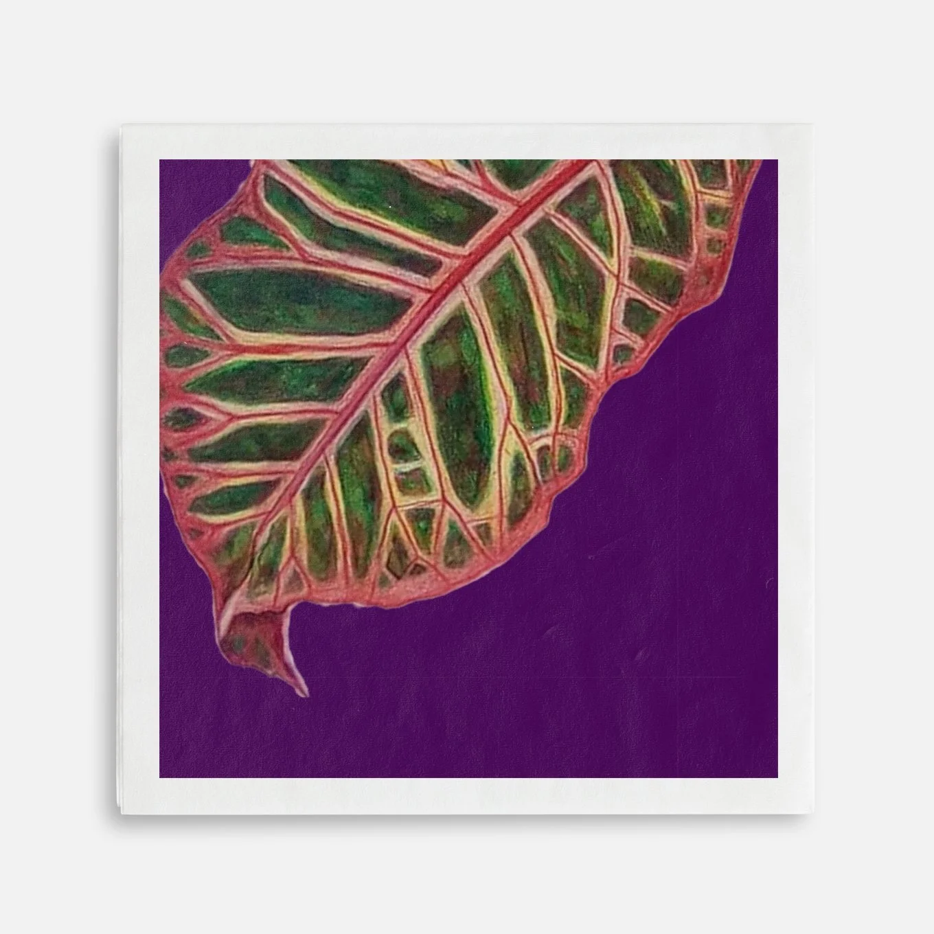 preview-purple leaf.jpeg