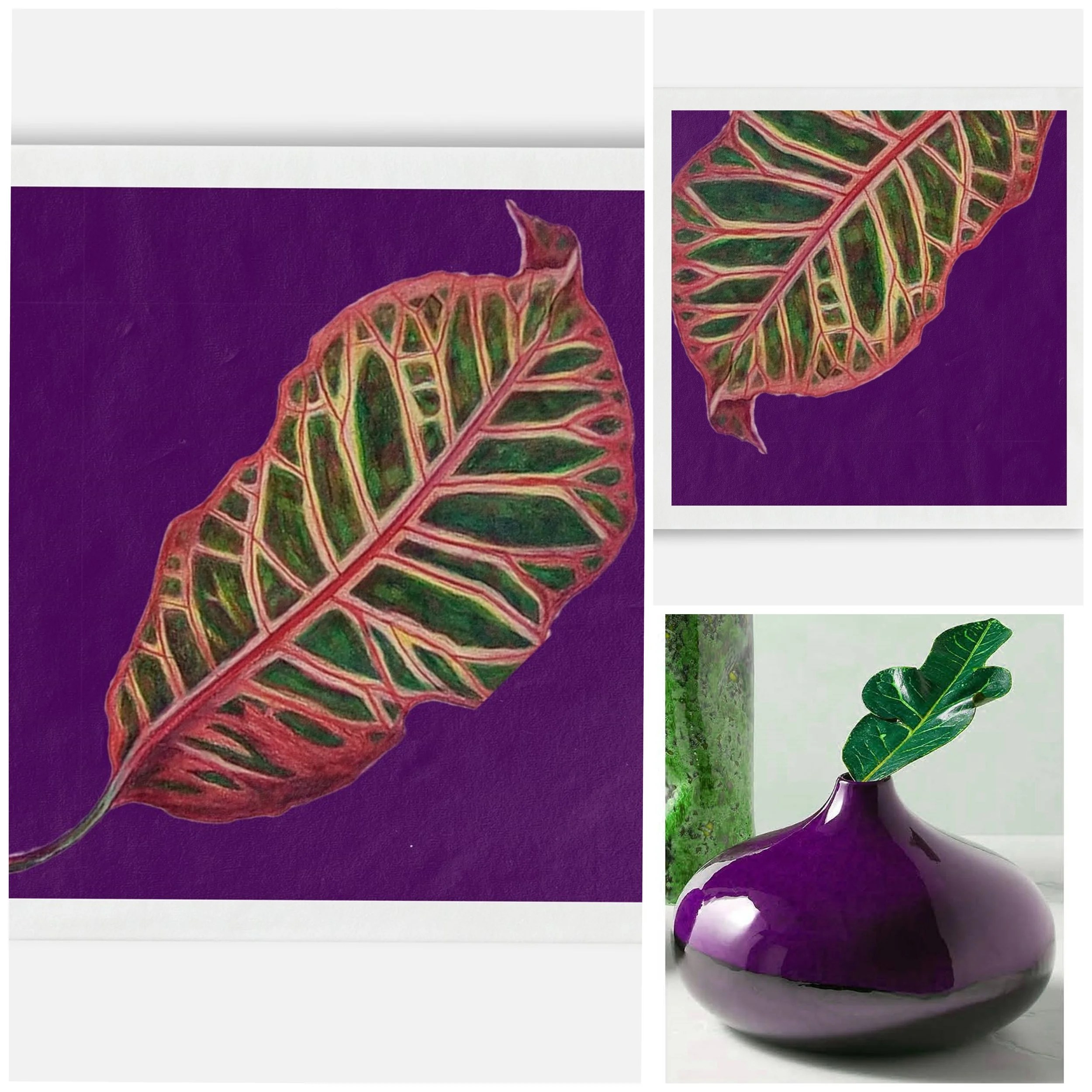 purple.jpg
