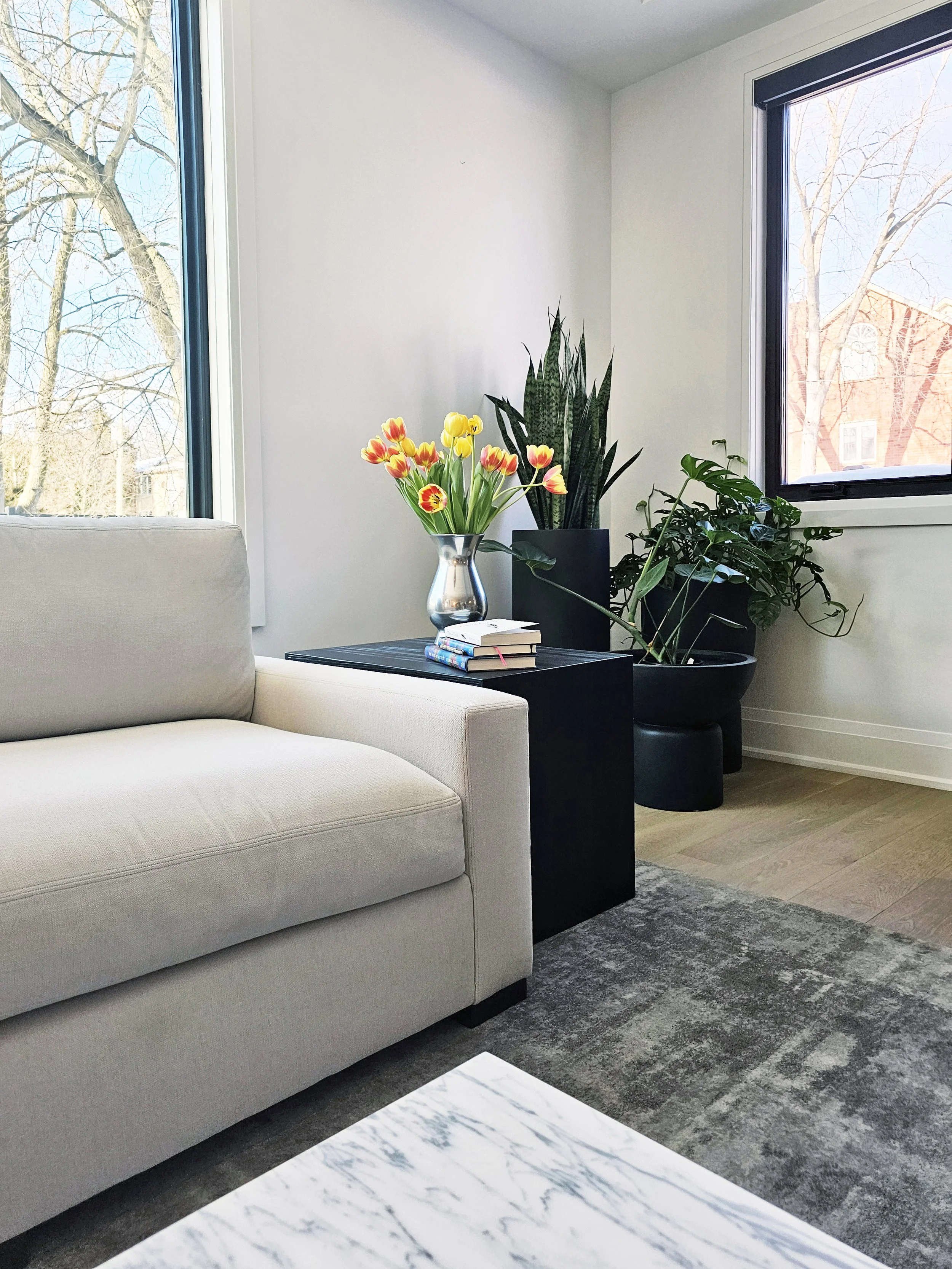 Modern living room corner with plants