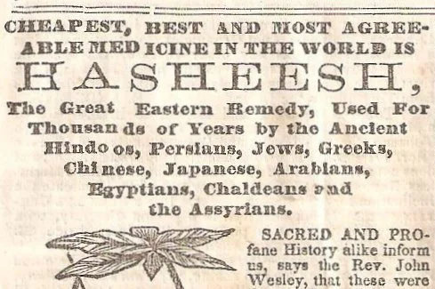 Vintage newspaper clipping about the health benefits of Hasheesh, an ancient remedy used for thousands of years by various ancient civilizations, featuring an illustration of a plant.
