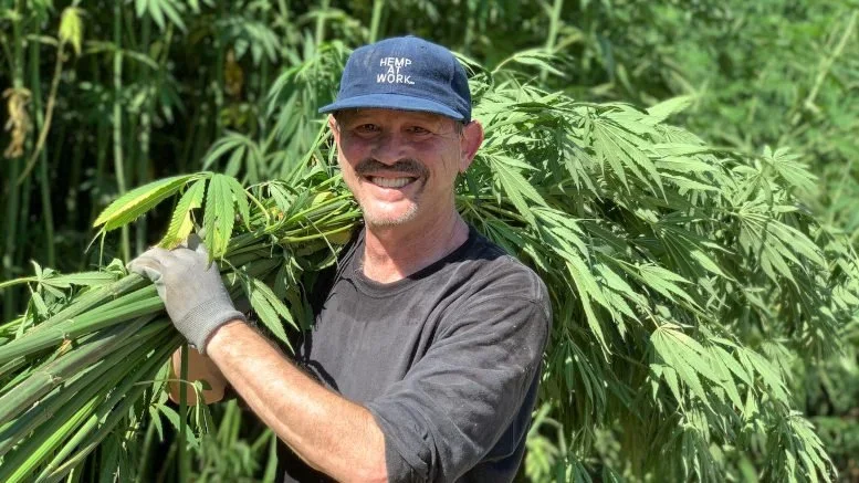 A man smiling outdoors carries a large bundle of marijuana plants on his shoulder.