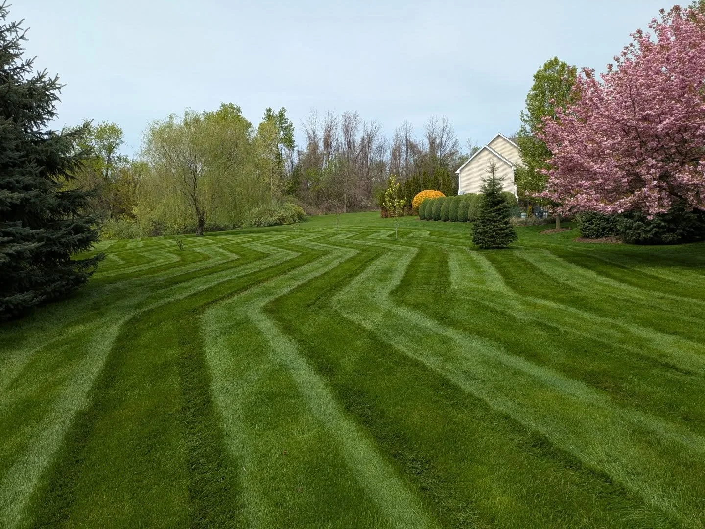 2025 Season Review

The 2025 season has turned out to be one of our busiest and most productive seasons thus far. To recap, here are a few statistics and photos showcasing what this year had to offer. 

- 30+ weekly maintenance accounts 
- Over 33 ya