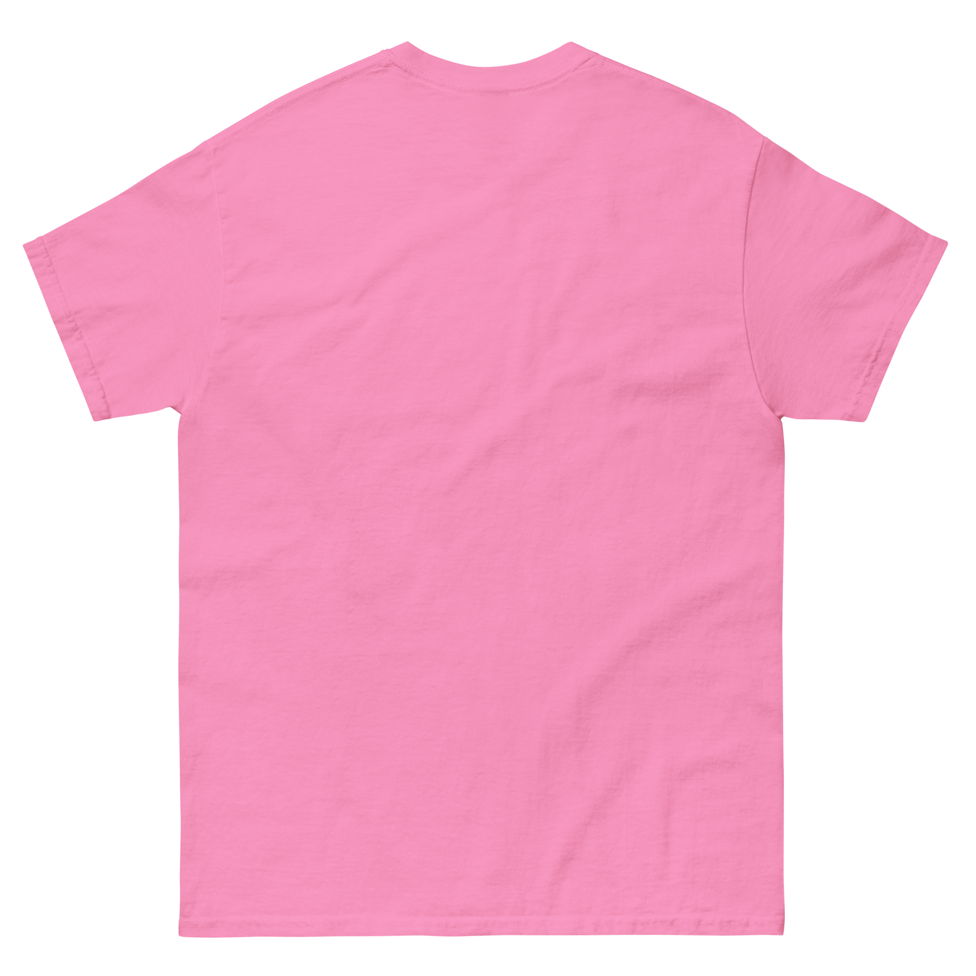 unisex-classic-tee-azalea-back-66b7712d12bdb.png