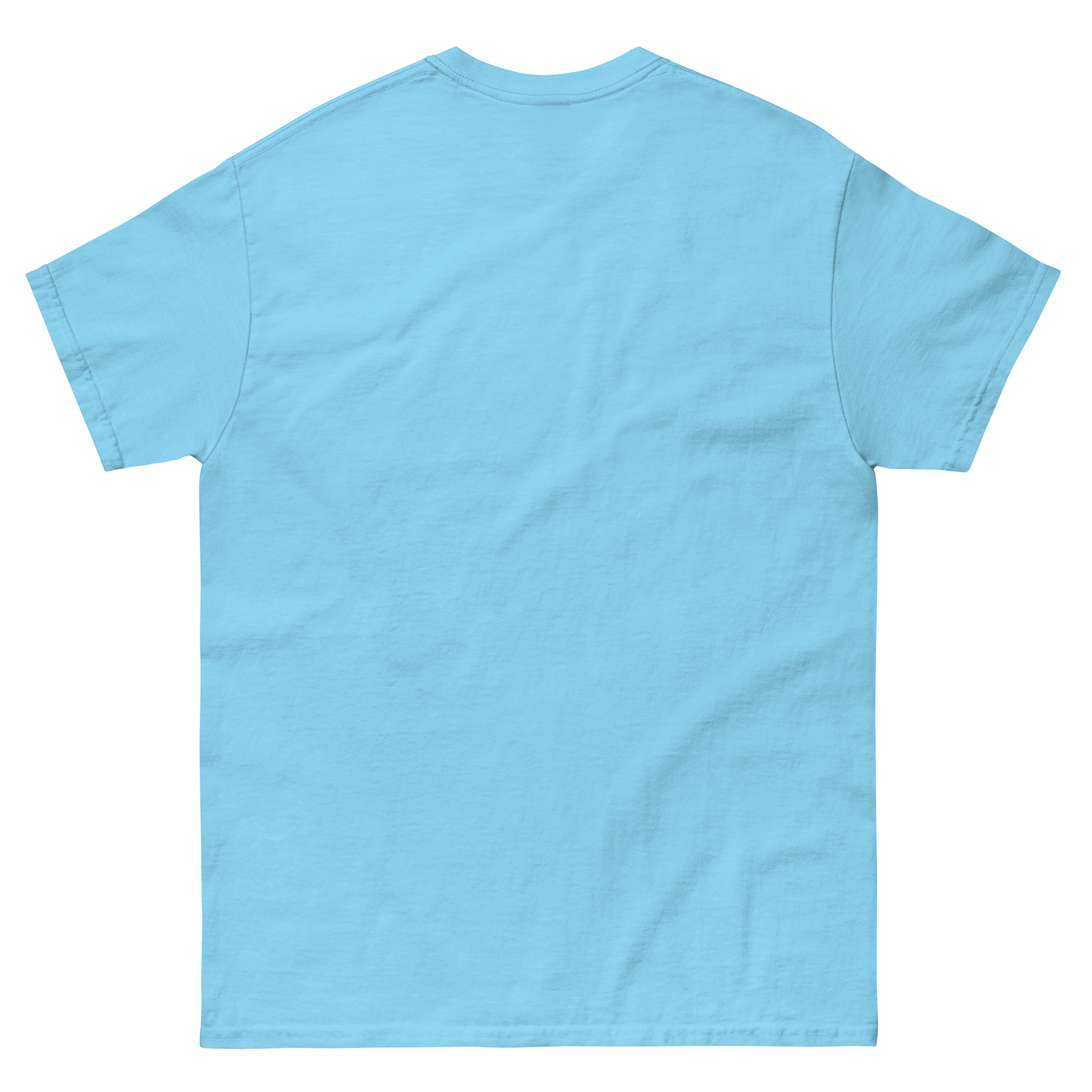 unisex-classic-tee-sky-back-66b7712d7bb78.png